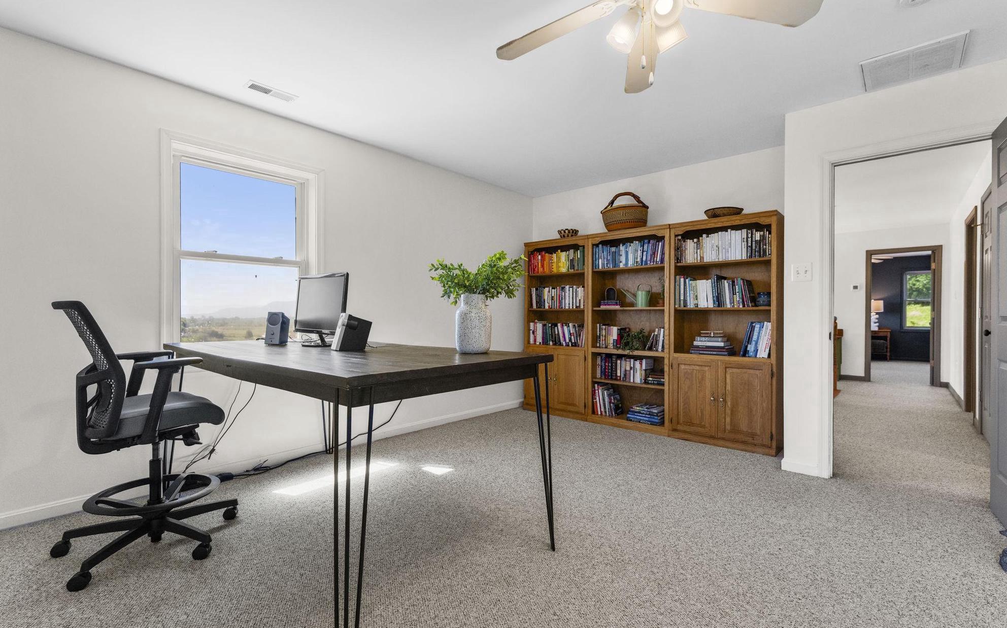  384 Lindamood Lane, Strasburg, VA, 22641 - 物件實景