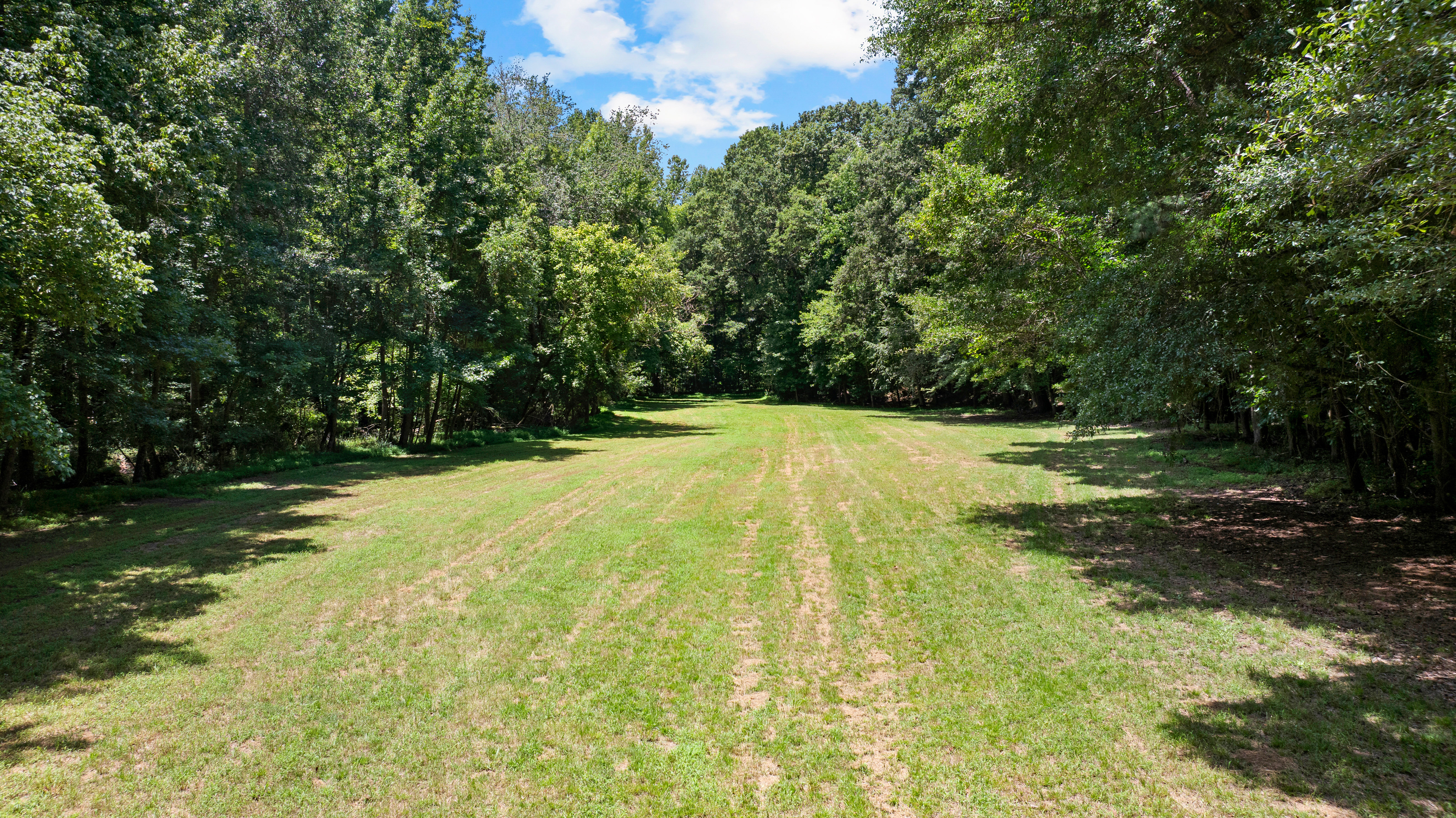  52 +/- Acres of Working Land and Quiet Woods - 物件實景