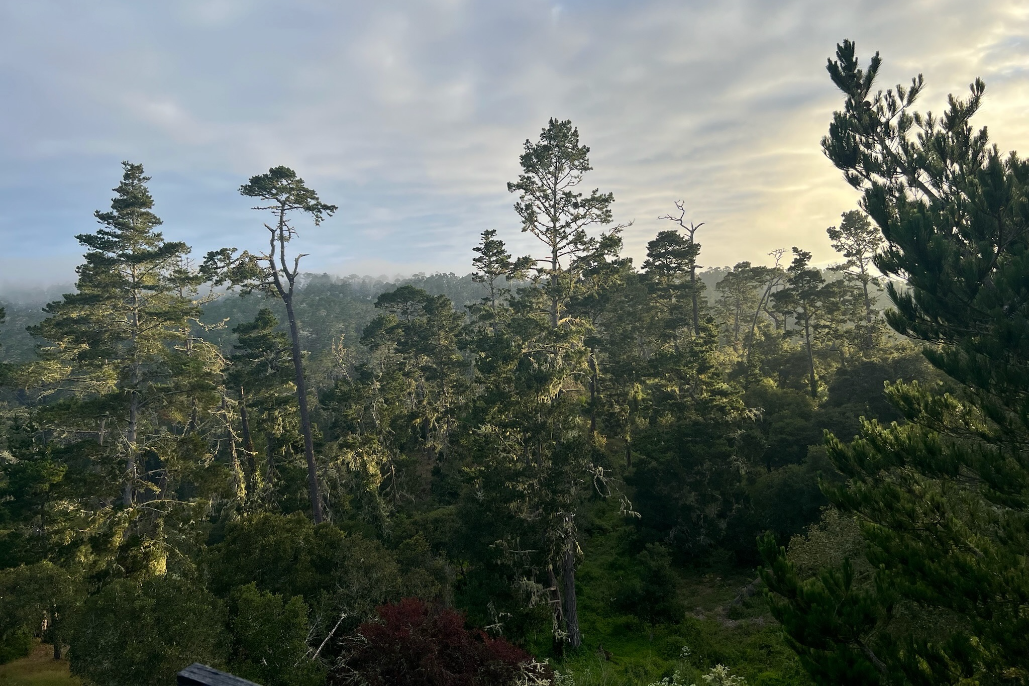  24312 San Juan Road - 物件實景