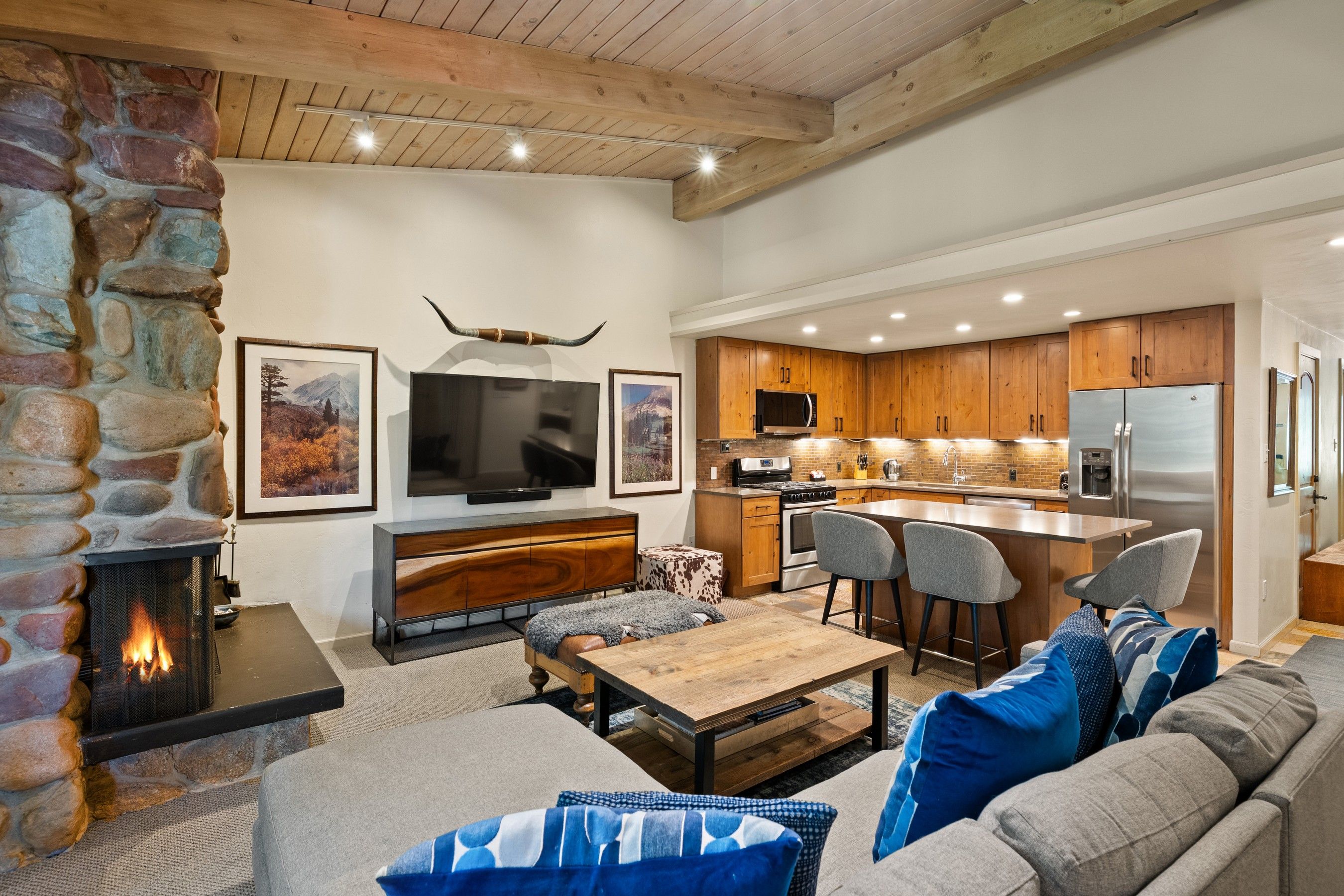  700 Ute Avenue, Aspen, CO, 81611 - 物件實景