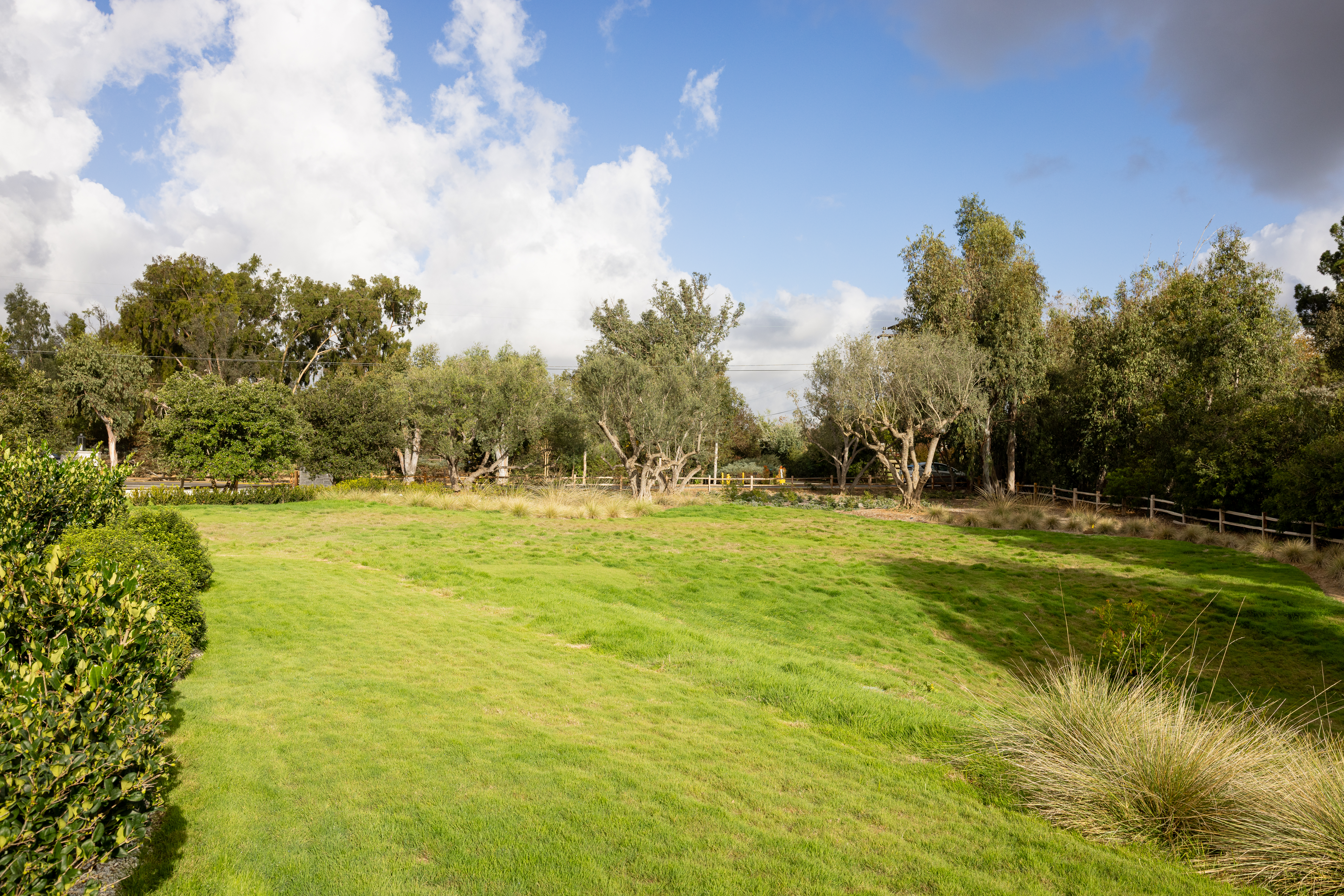  17845 Via De Fortuna, Rancho Santa Fe, CA 92067 - 物件實景