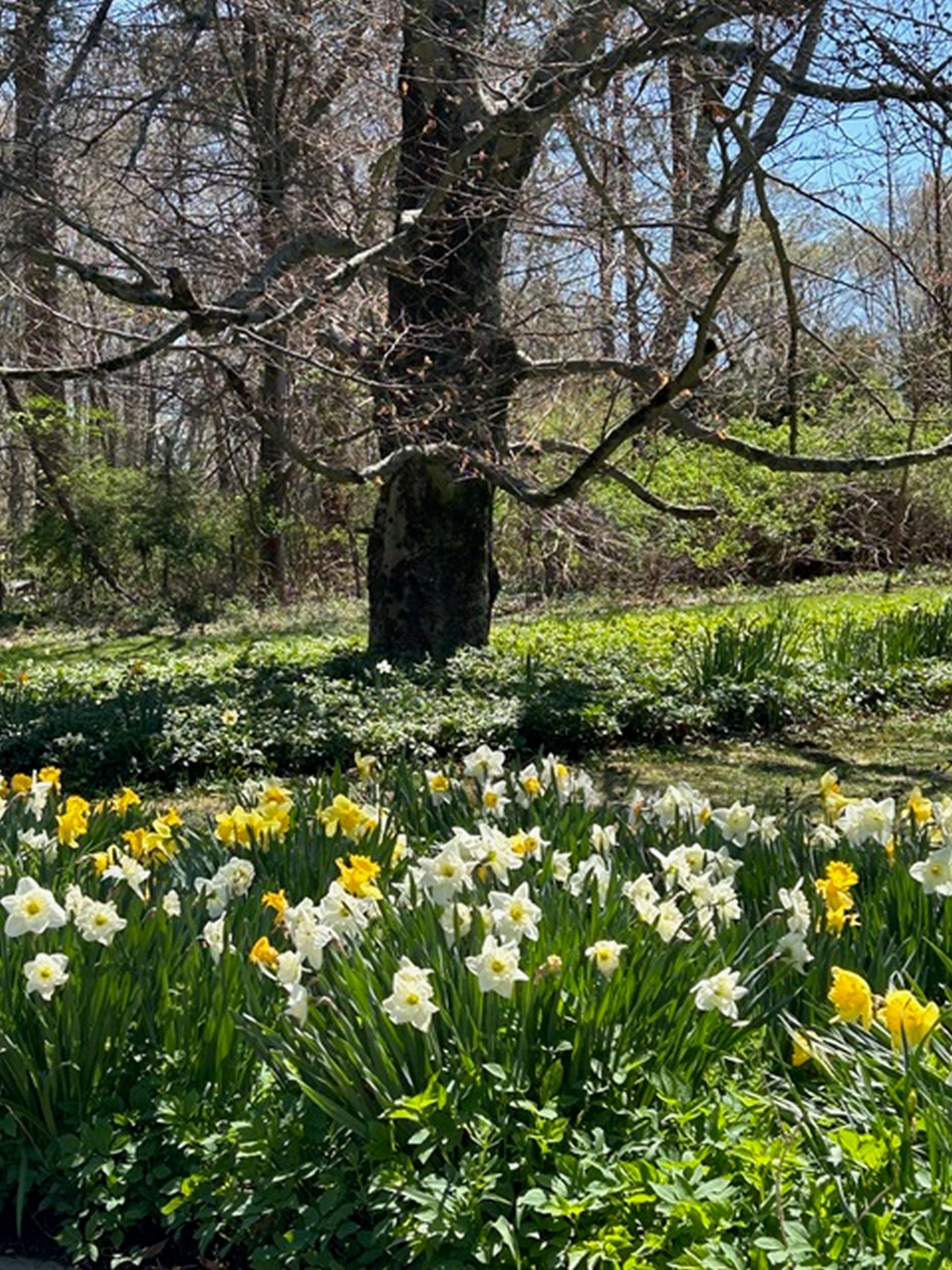  49 South Street - 物件實景