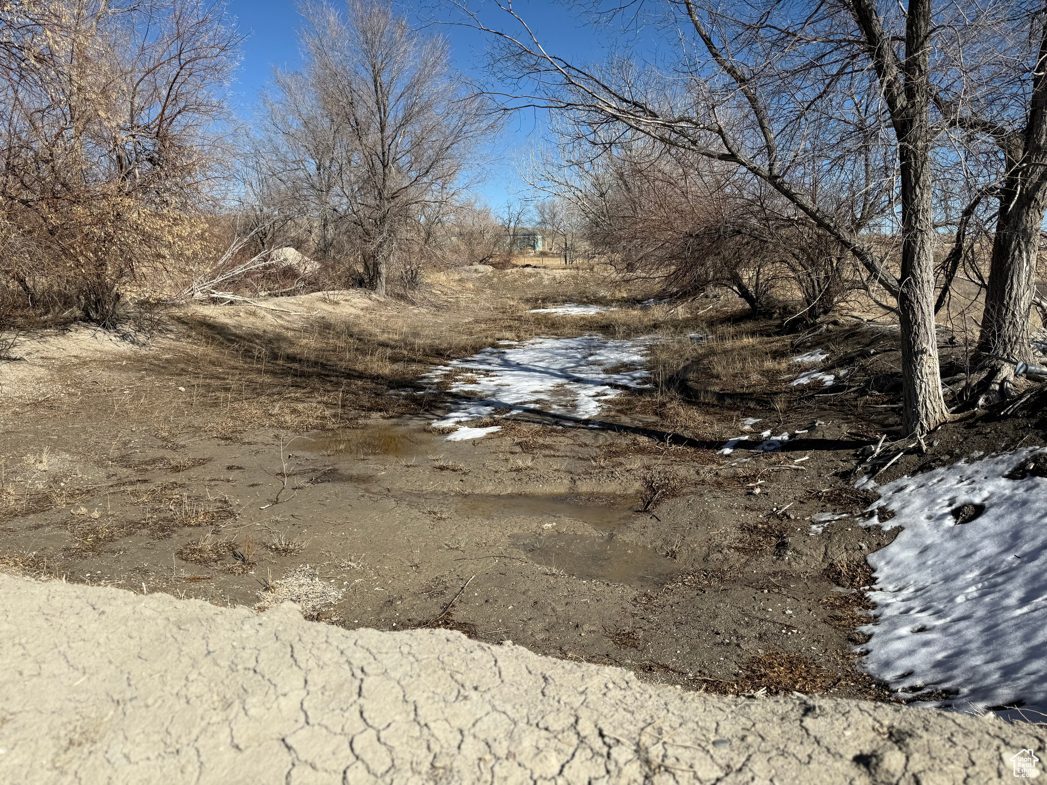 Park Valley, Utah, 84329, United States, ,Land,For Sale,1882391