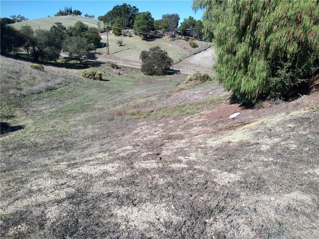 Templeton, California, 93465, United States, 4 Bedrooms Bedrooms, ,4 BathroomsBathrooms,Residential,For Sale,2006355