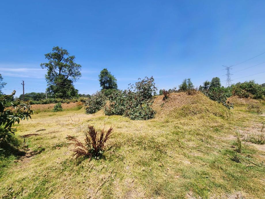 Valle de Bravo, Estado de méxico, 51200, Mexico, 1 Bedroom Bedrooms, ,Residential,For Sale,1806019