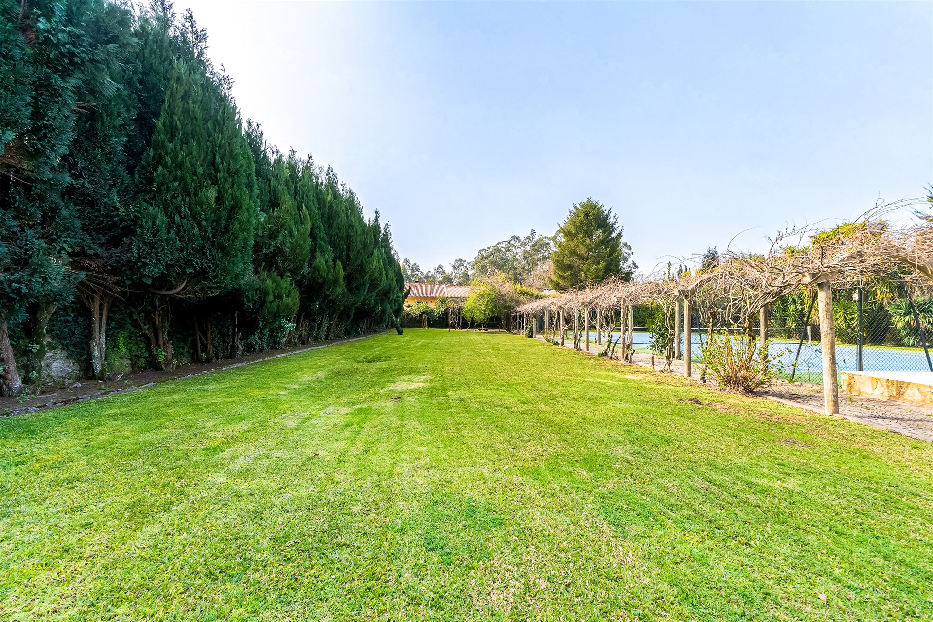  Palace, 8 bedrooms, for Sale - 物件實景