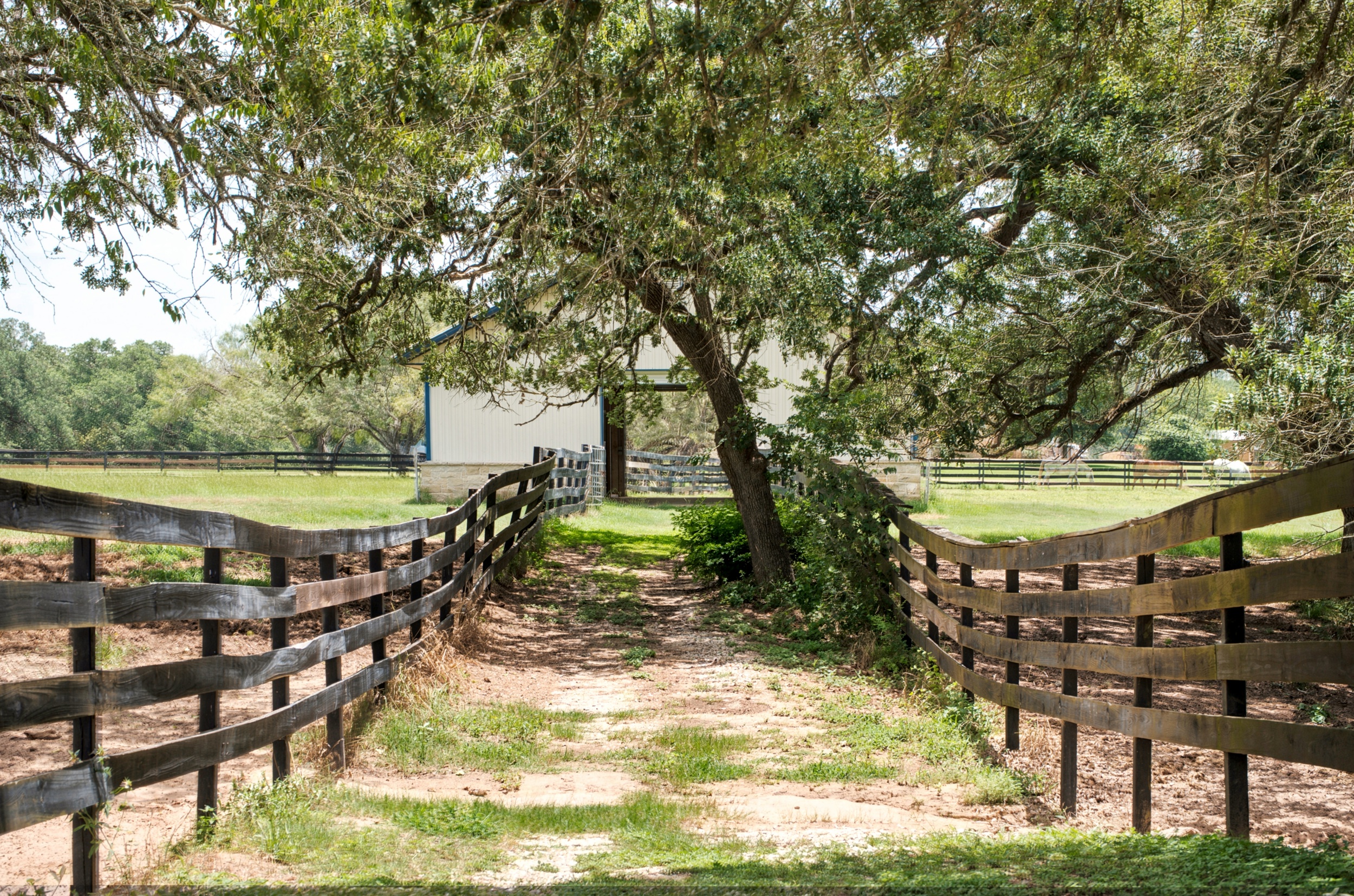  76.77 Acres, Colorado County, Weimer, TX 78962 - 物件實景