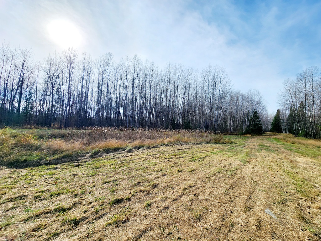 Grand Rapids, Minnesota, 55744, United States, ,Land,For Sale,1983791