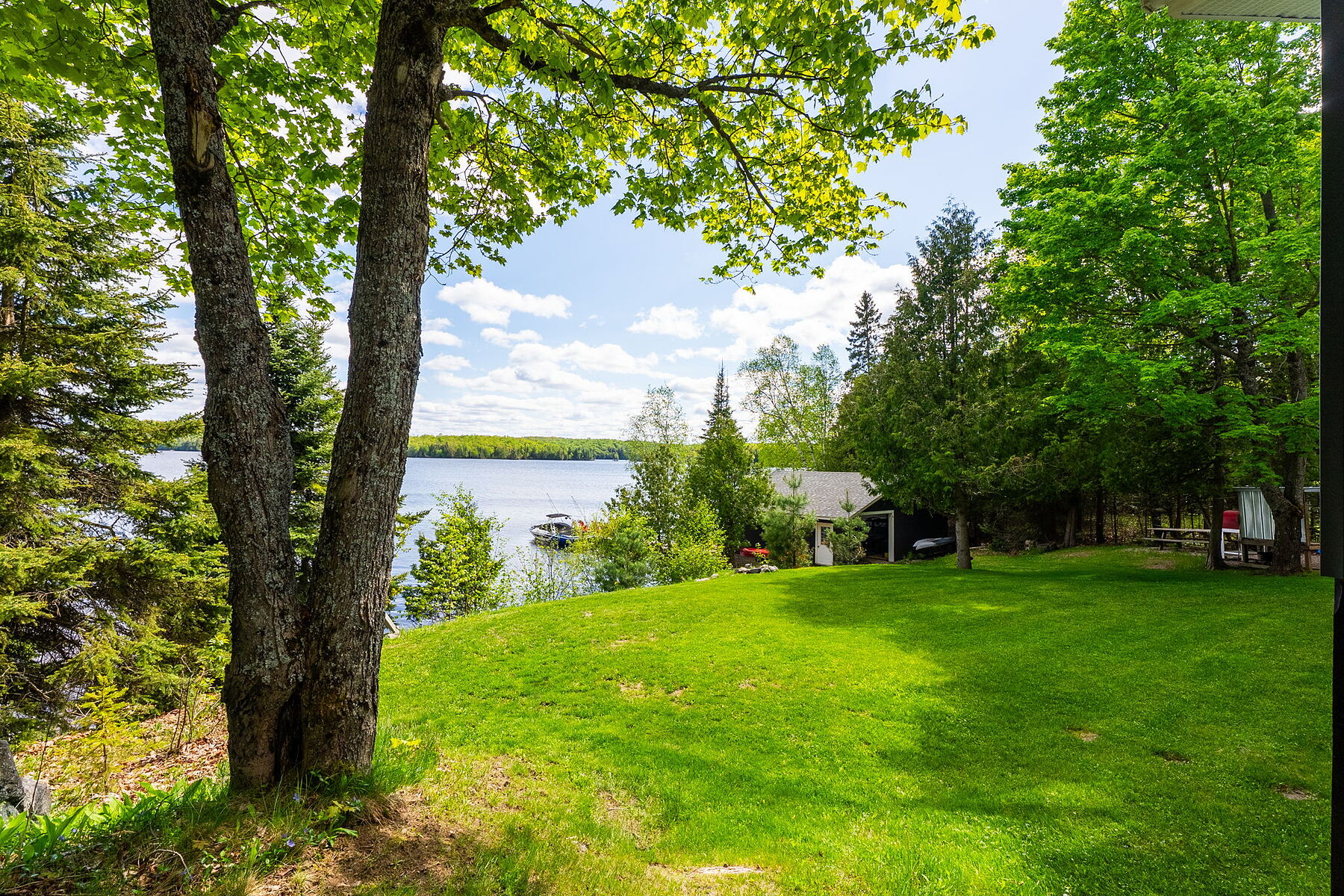  Family Home on Lake Cecebe - 物件實景