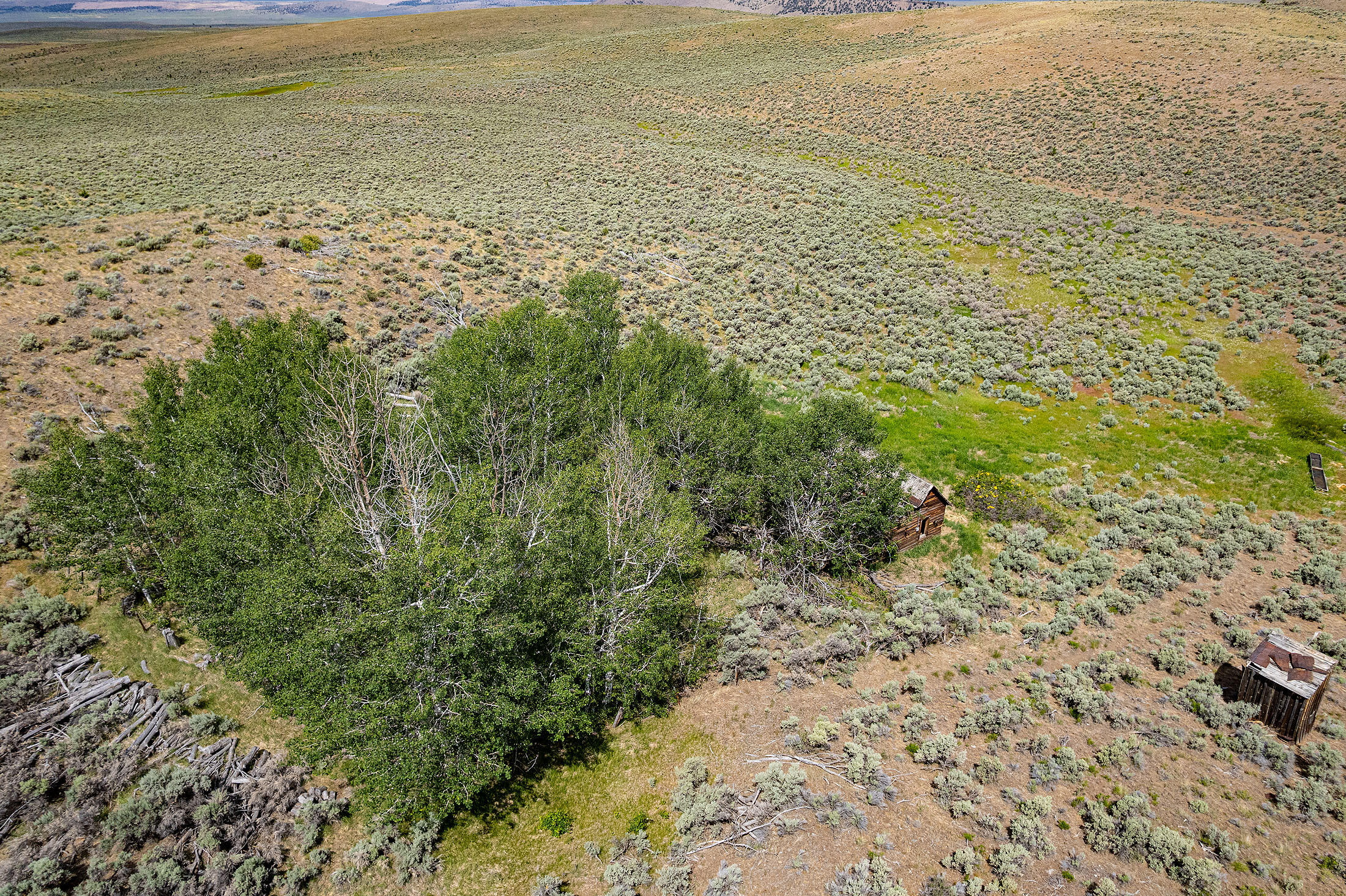 Tl 3700 Suplee Highway, Paulina, Oregon, 97751, United States, ,Land,For Sale,Tl 3700 Suplee Highway,1511106