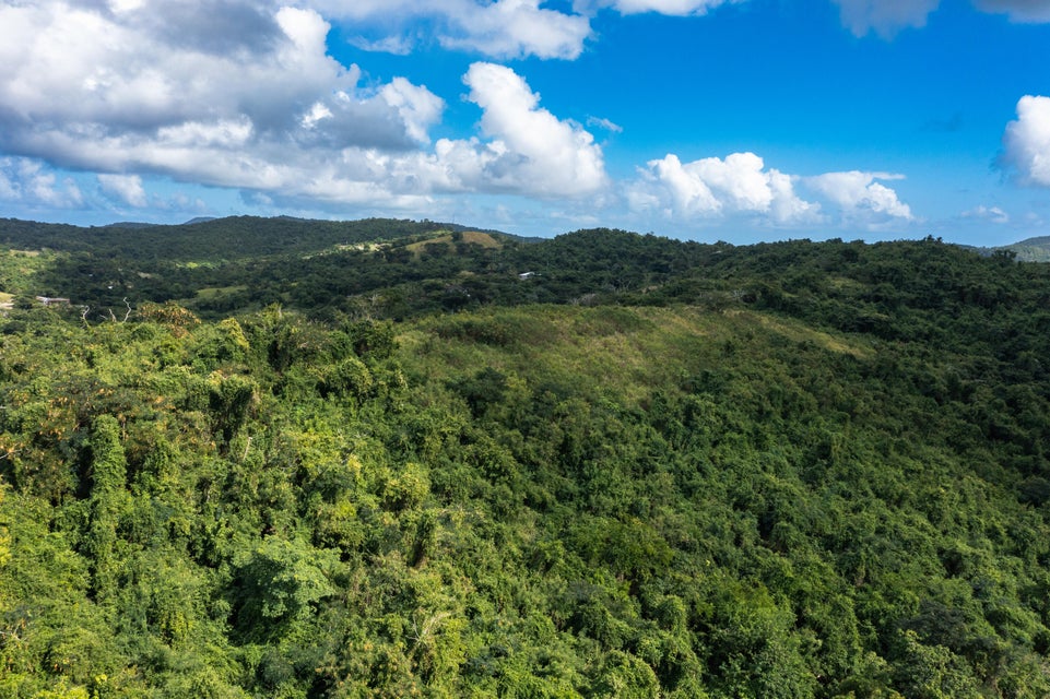 St. Croix, Virgin Islands, 00840, VI, ,Land,For Sale,1792958