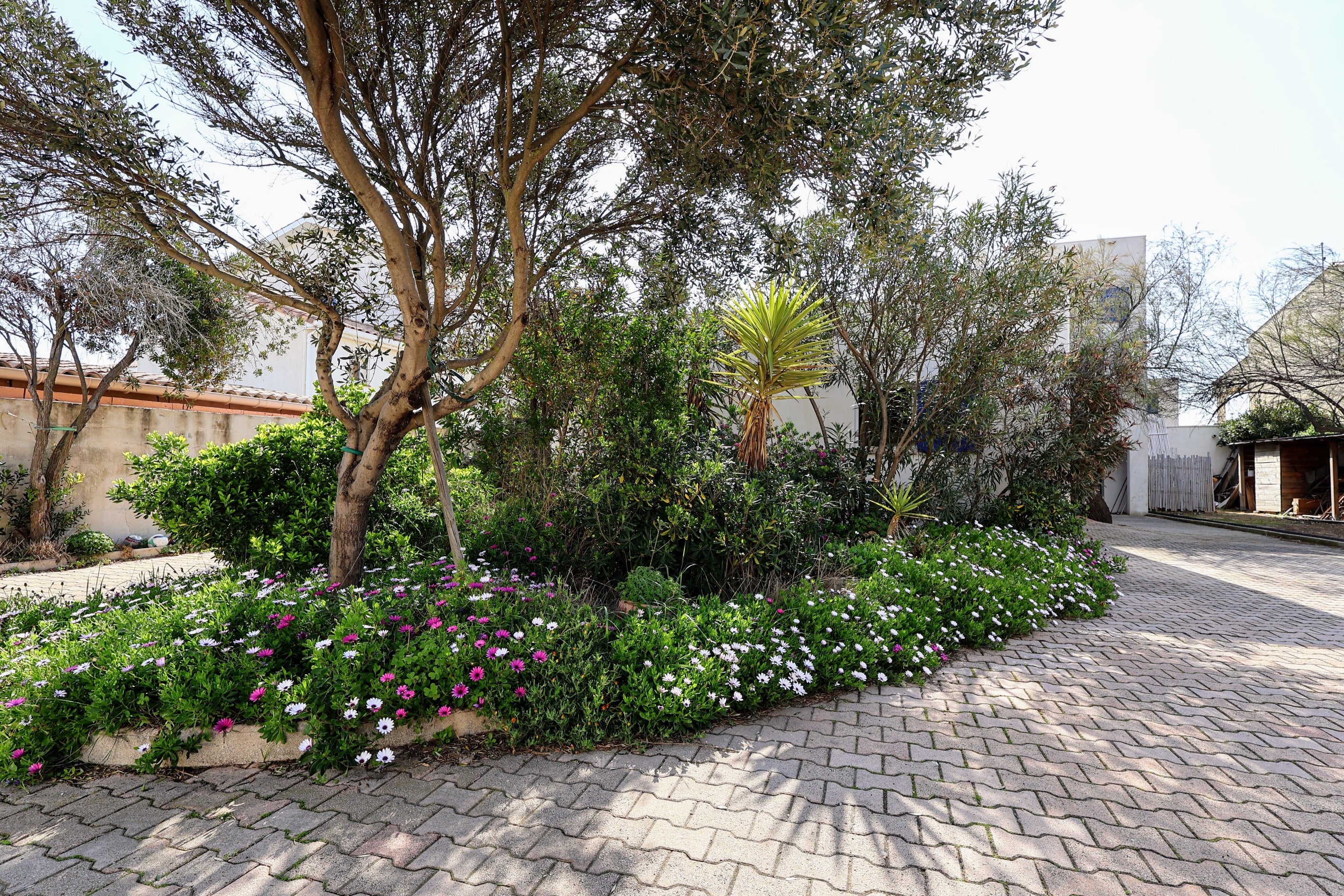  FRONTIGNAN - 210 M2 VILLA WITH SEA VIEW - 物件實景