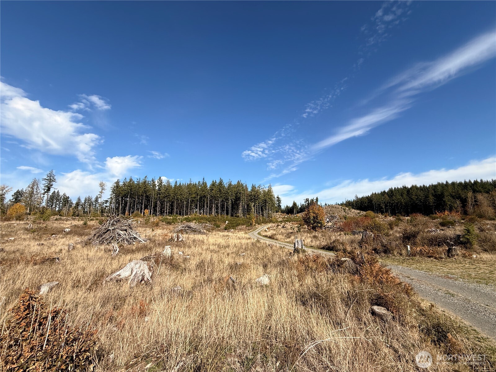 Rainier, Washington, 98576, United States, ,Land,For Sale,1998419