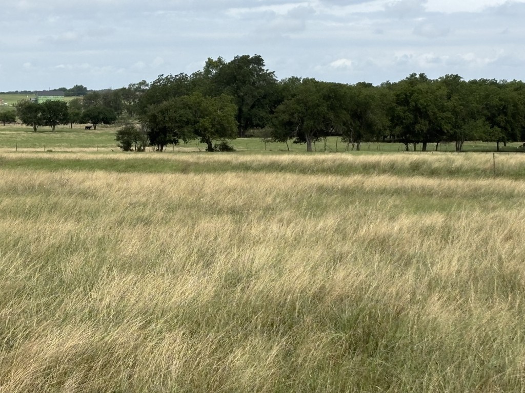 Granger, Texas, 76530, United States, ,Land,For Sale,1903654
