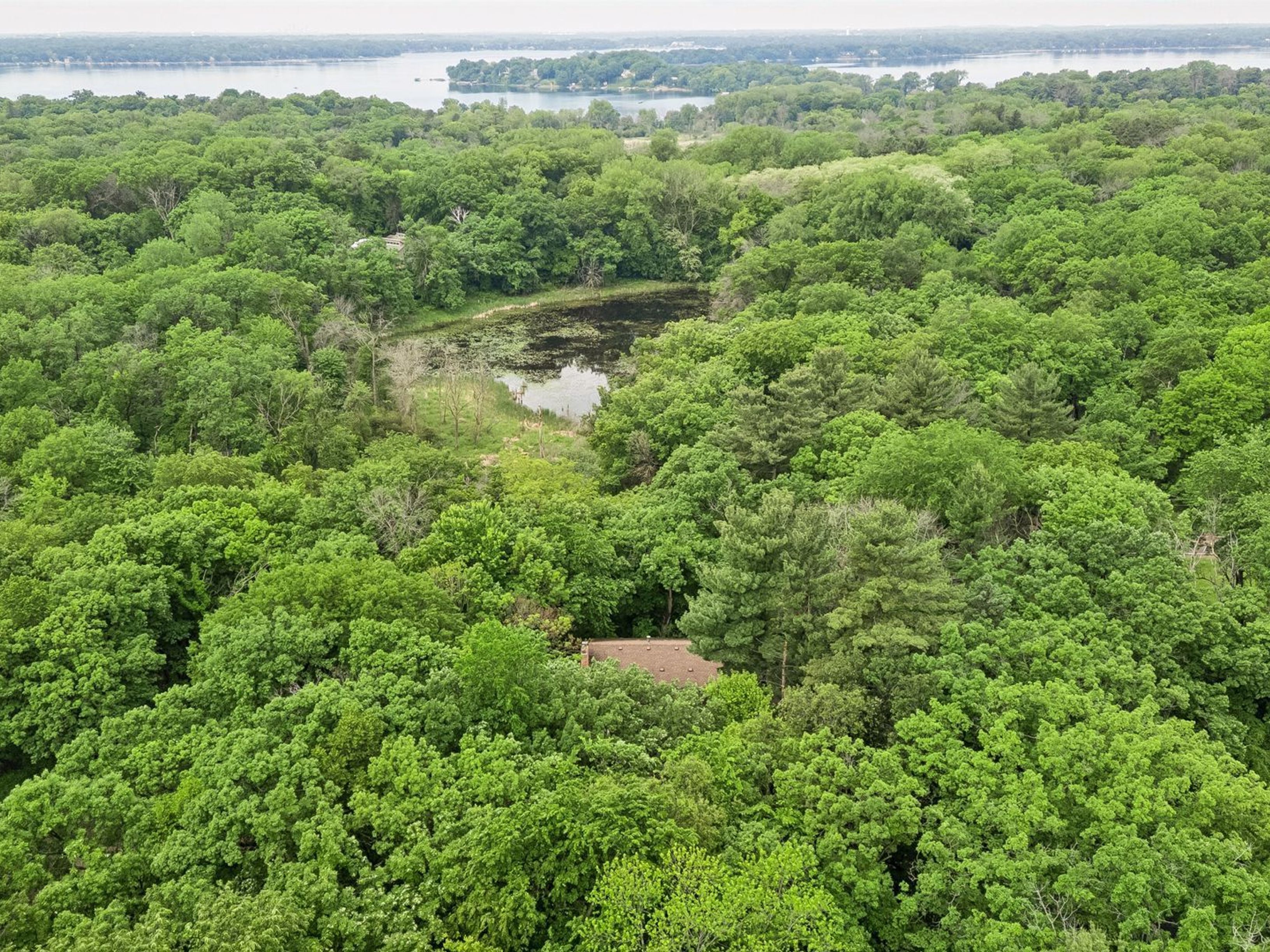  Charming Dellwood Home Surrounded by Natural Beauty - 物件實景