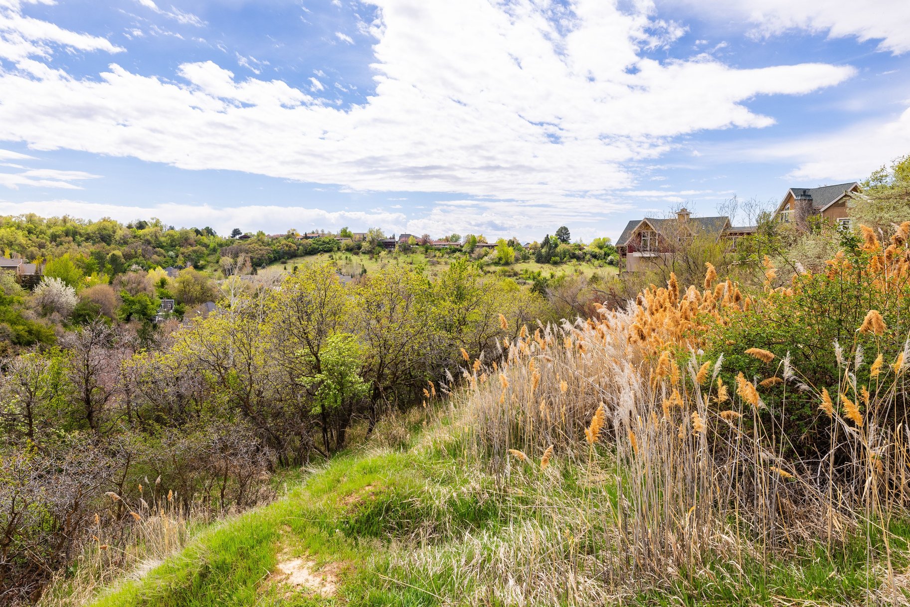  1.47 Acre Lot In East Layton With Endless Possibilities - 物件實景