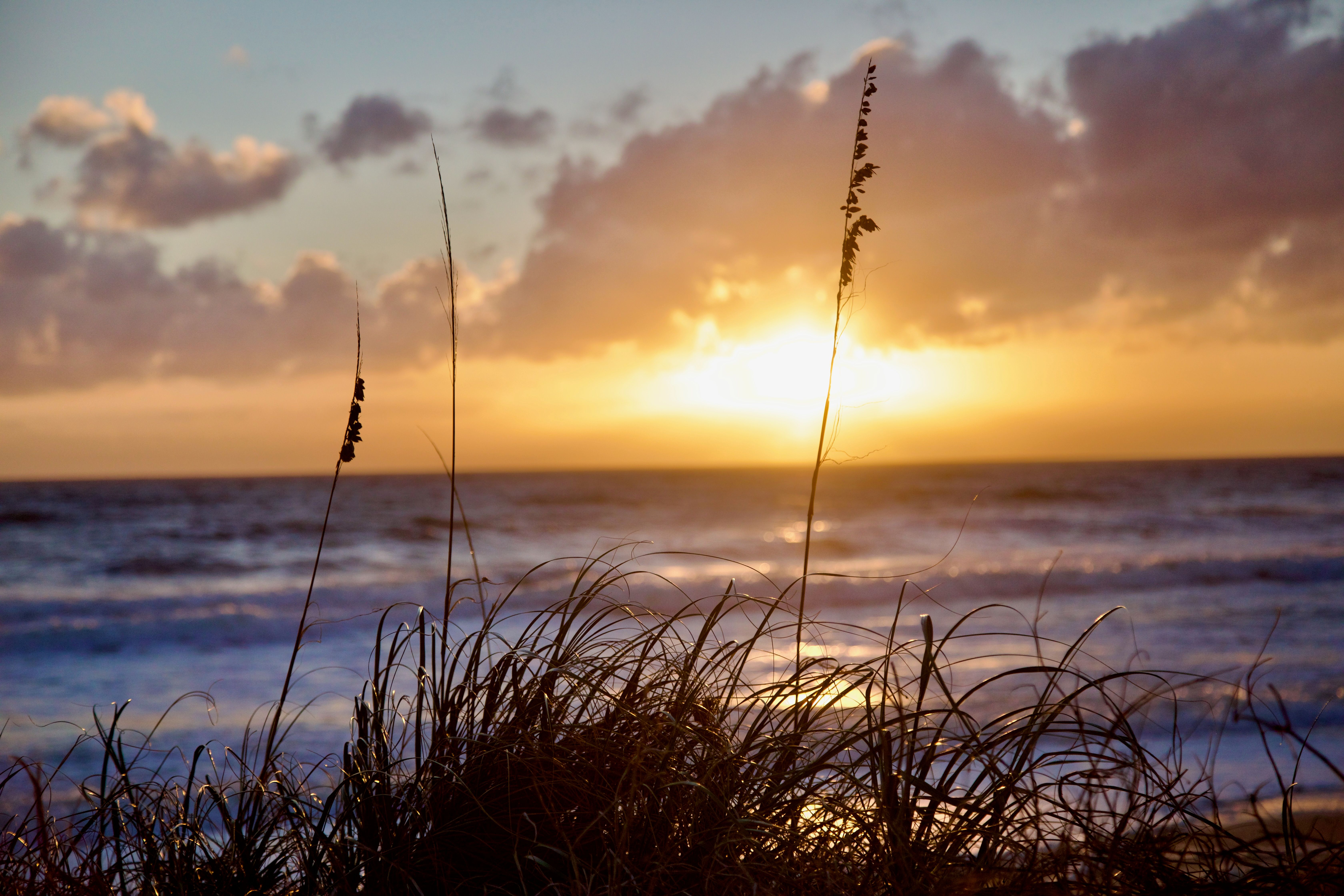  140 Avenue De La Mer, Palm Coast, FL, 32137 - 物件實景
