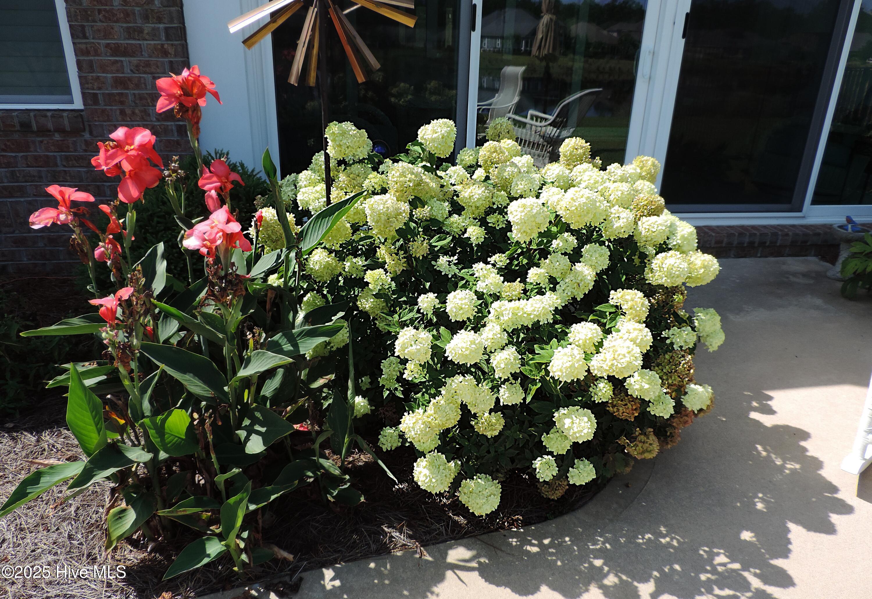 Leland, North Carolina, 28451, United States, 3 Bedrooms Bedrooms, ,3 BathroomsBathrooms,Residential,For Sale,1962927