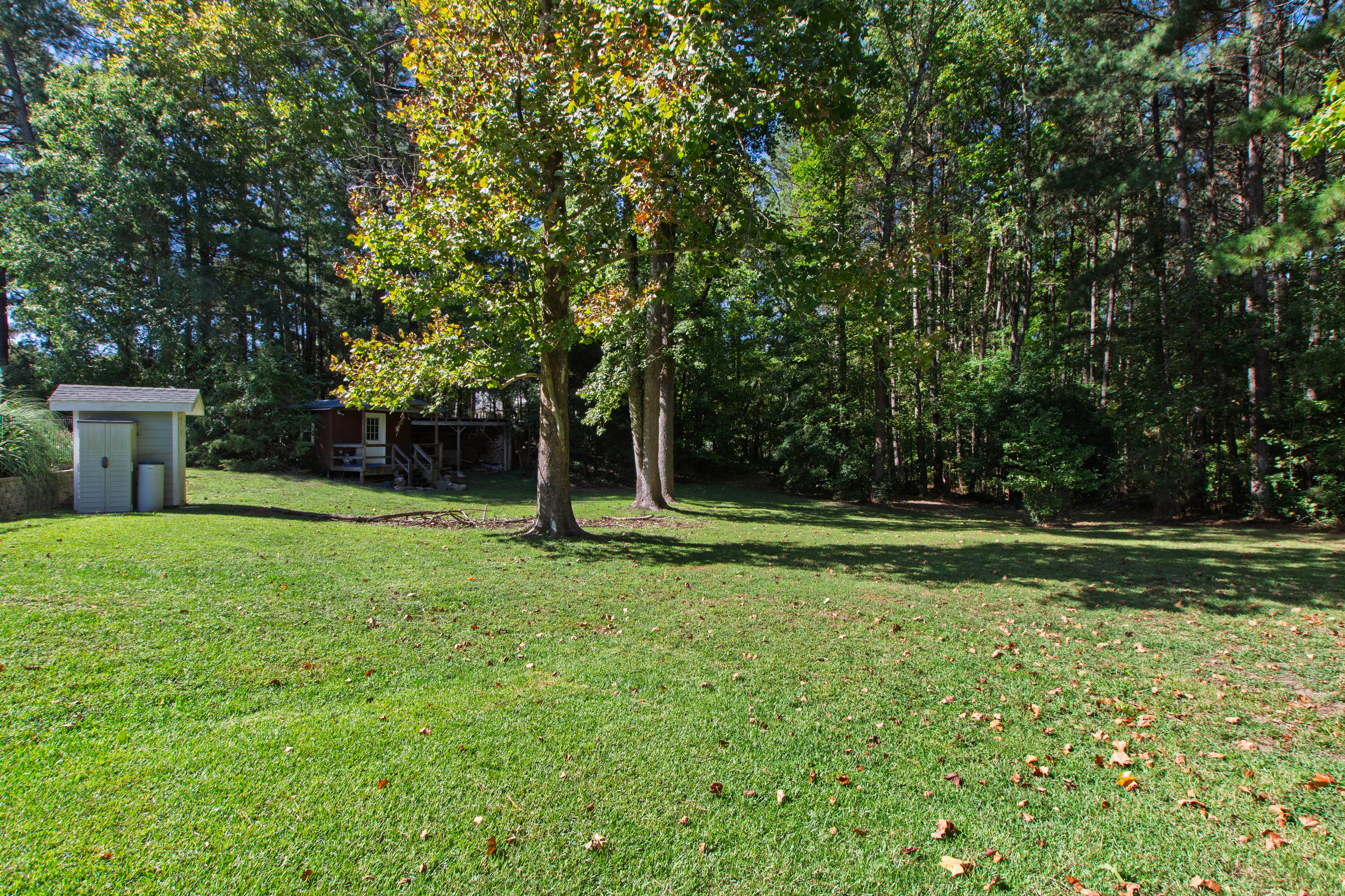  1421 Jenks Carpenter Road, Cary, NC 27519 - 物件實景