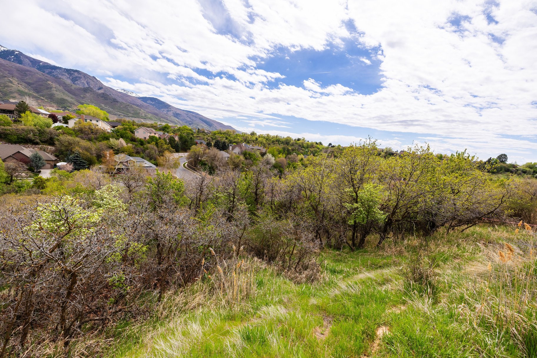  1.47 Acre Lot In East Layton With Endless Possibilities - 物件實景