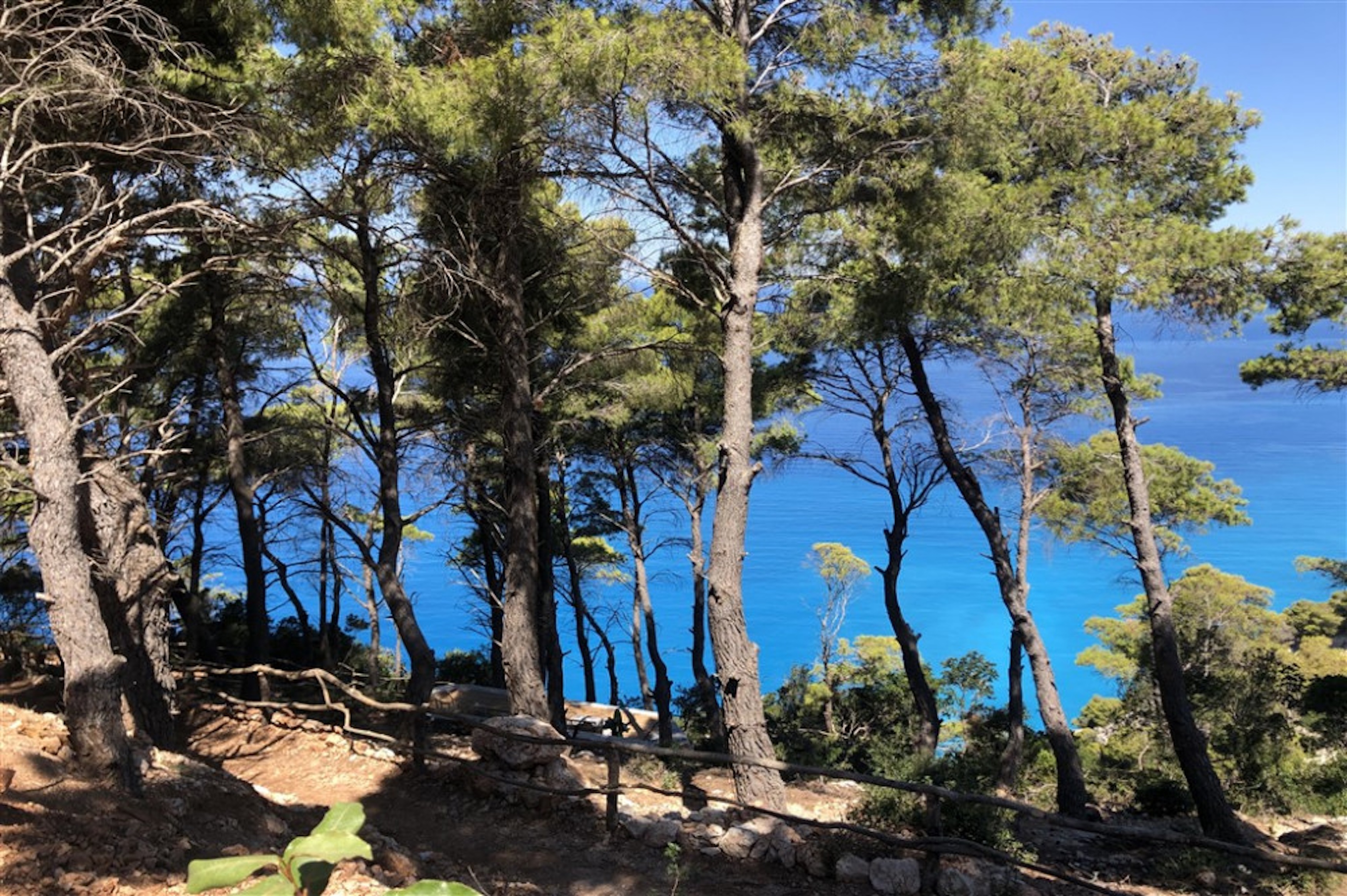  Orizon - 物件實景