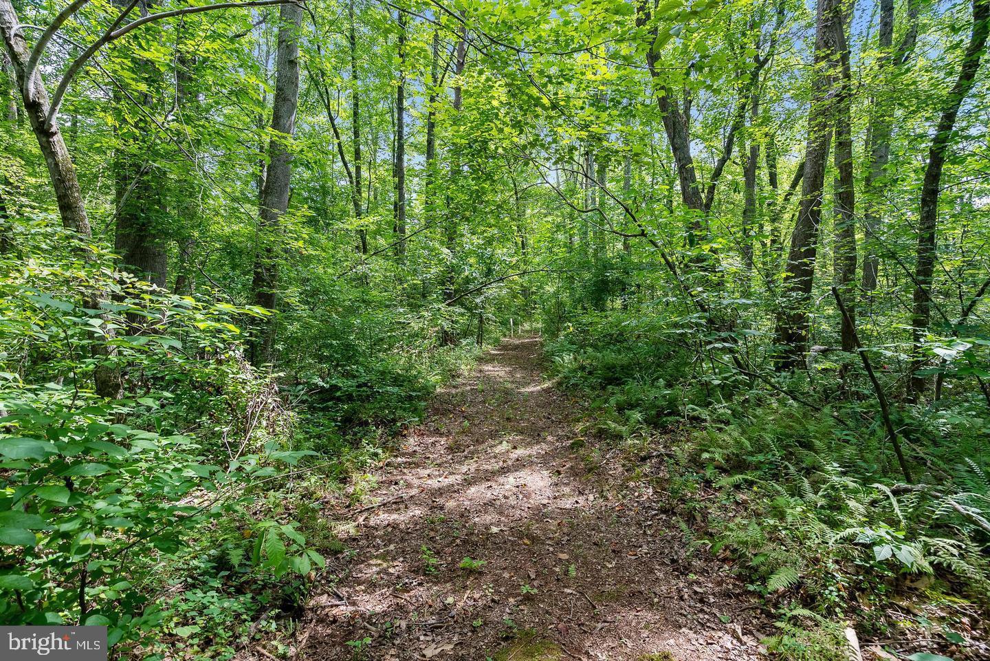 Nokesville, Virginia, 20181, United States, ,Residential,For Sale,1983761