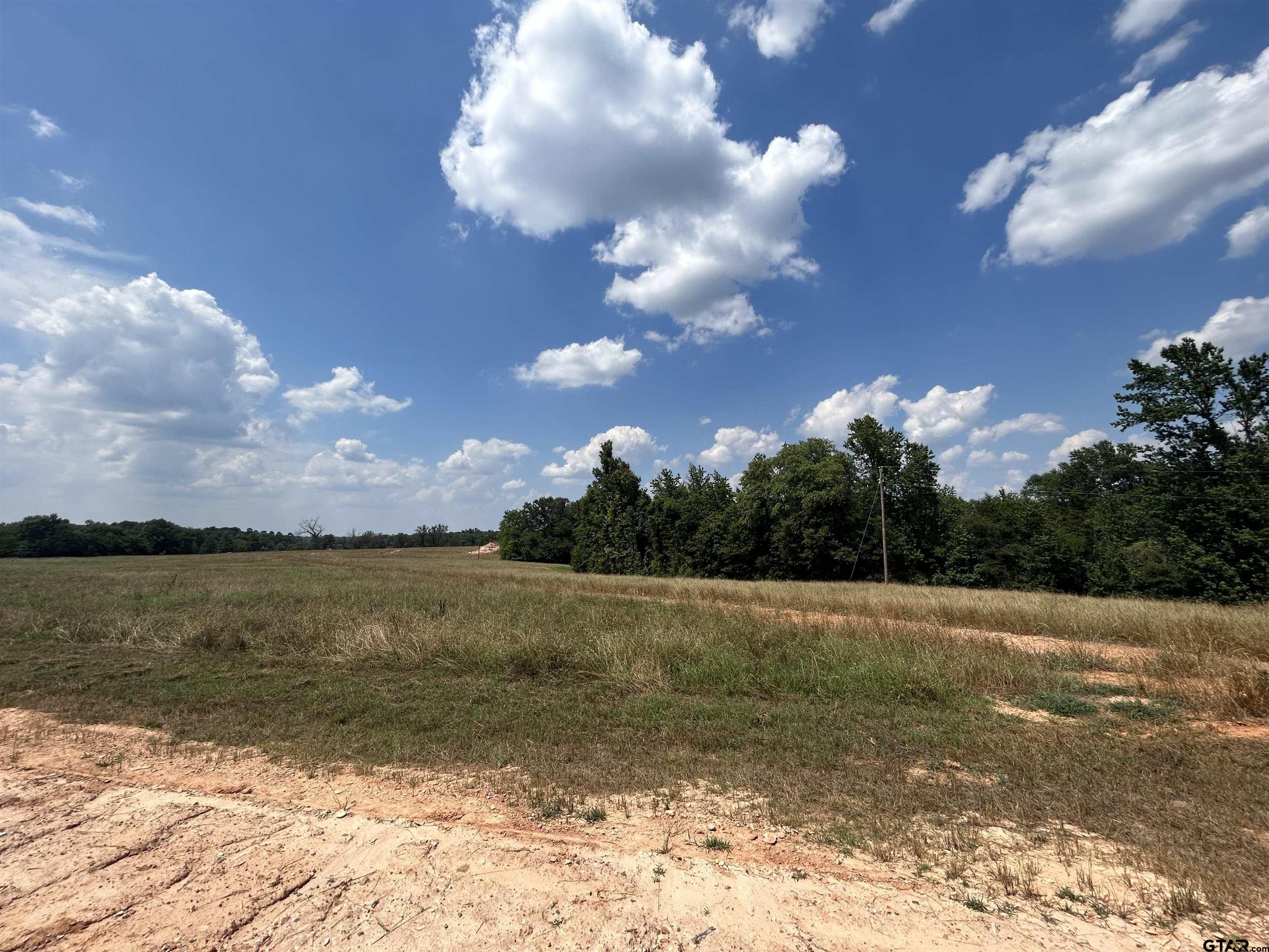 1666 CR 2332, Pittsburg, Texas, 75686, United States, ,Residential,For Sale,1666 CR 2332,1411949