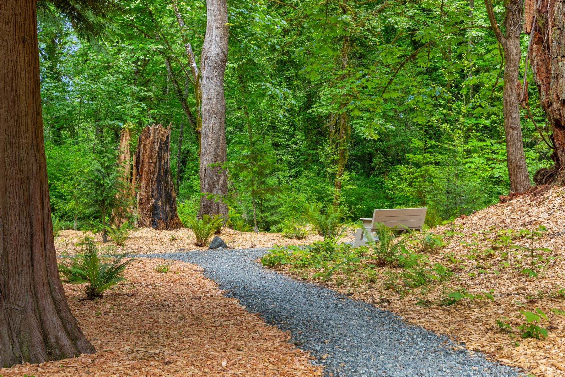  9720 NE Lofgren Rd, Bainbridge Island, WA 98110 - 物件實景