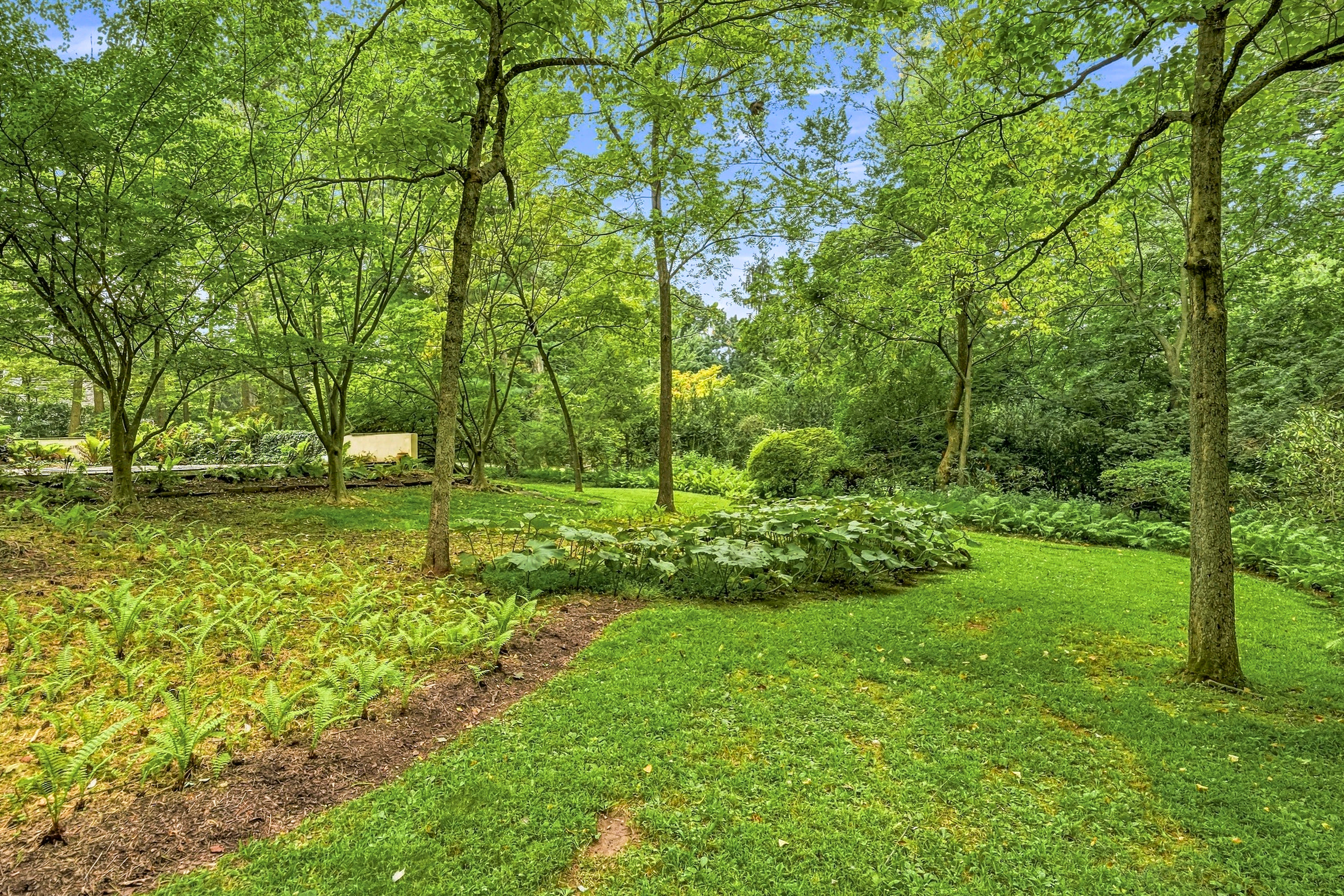  815 Black Rock Road, Gladwyne, PA 19035 - 物件實景