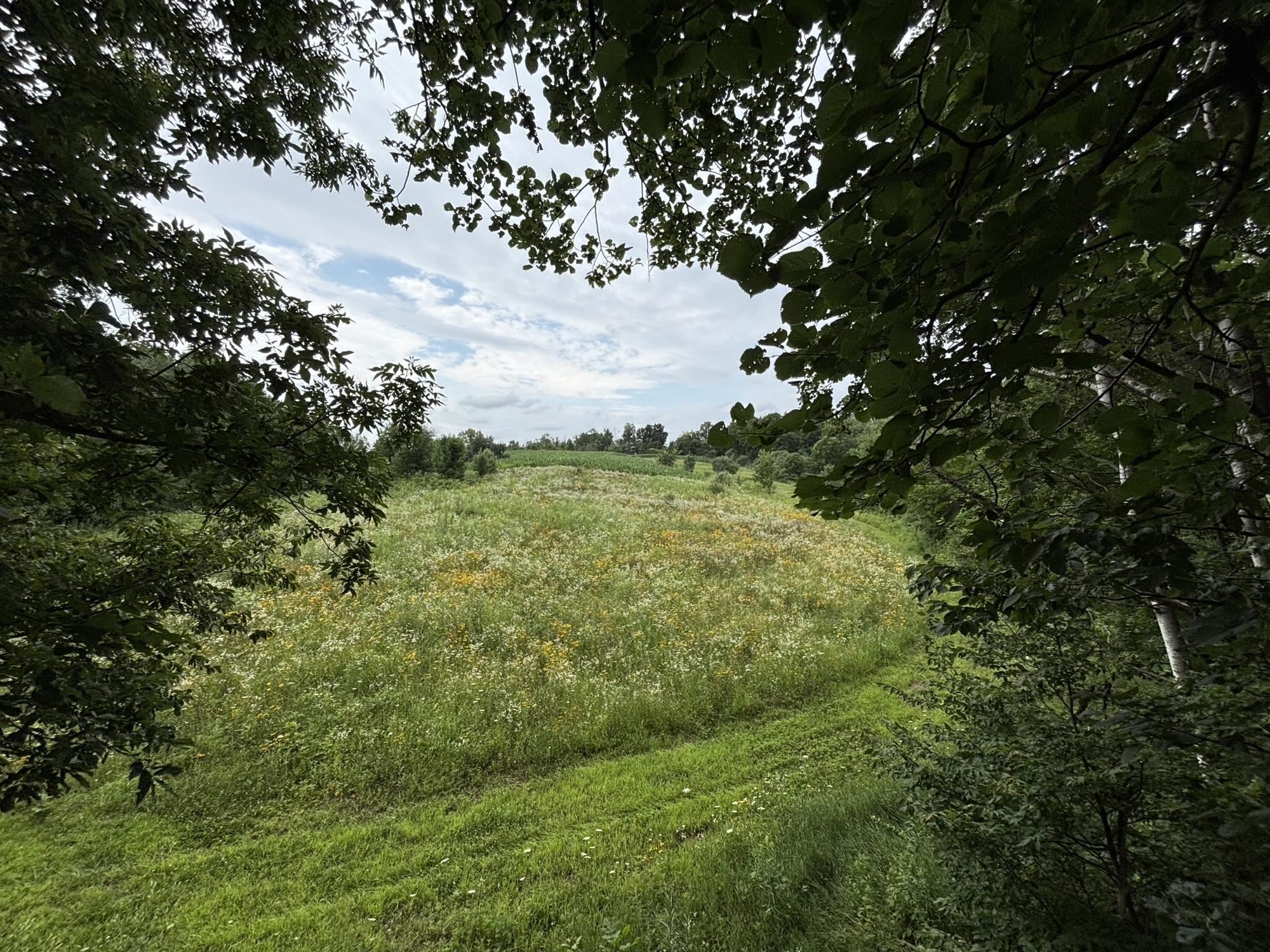 Gays Mills, Wisconsin, 54631, United States, ,Residential,For Sale,1928729