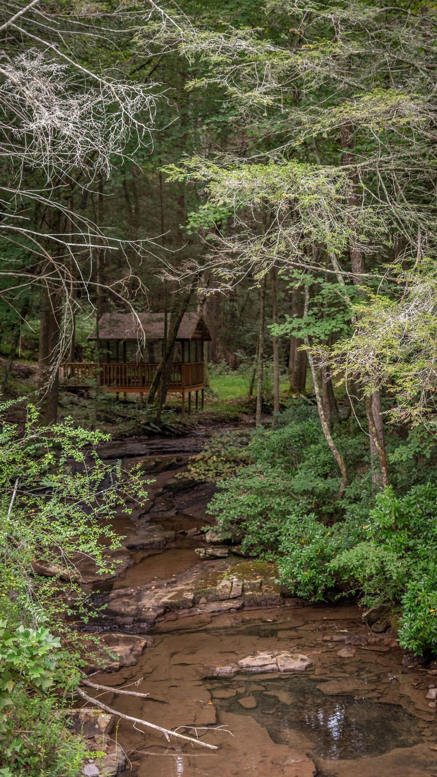 Dunlap, Tennessee, 37327, United States, 4 Bedrooms Bedrooms, ,3 BathroomsBathrooms,Residential,For Sale,1974830