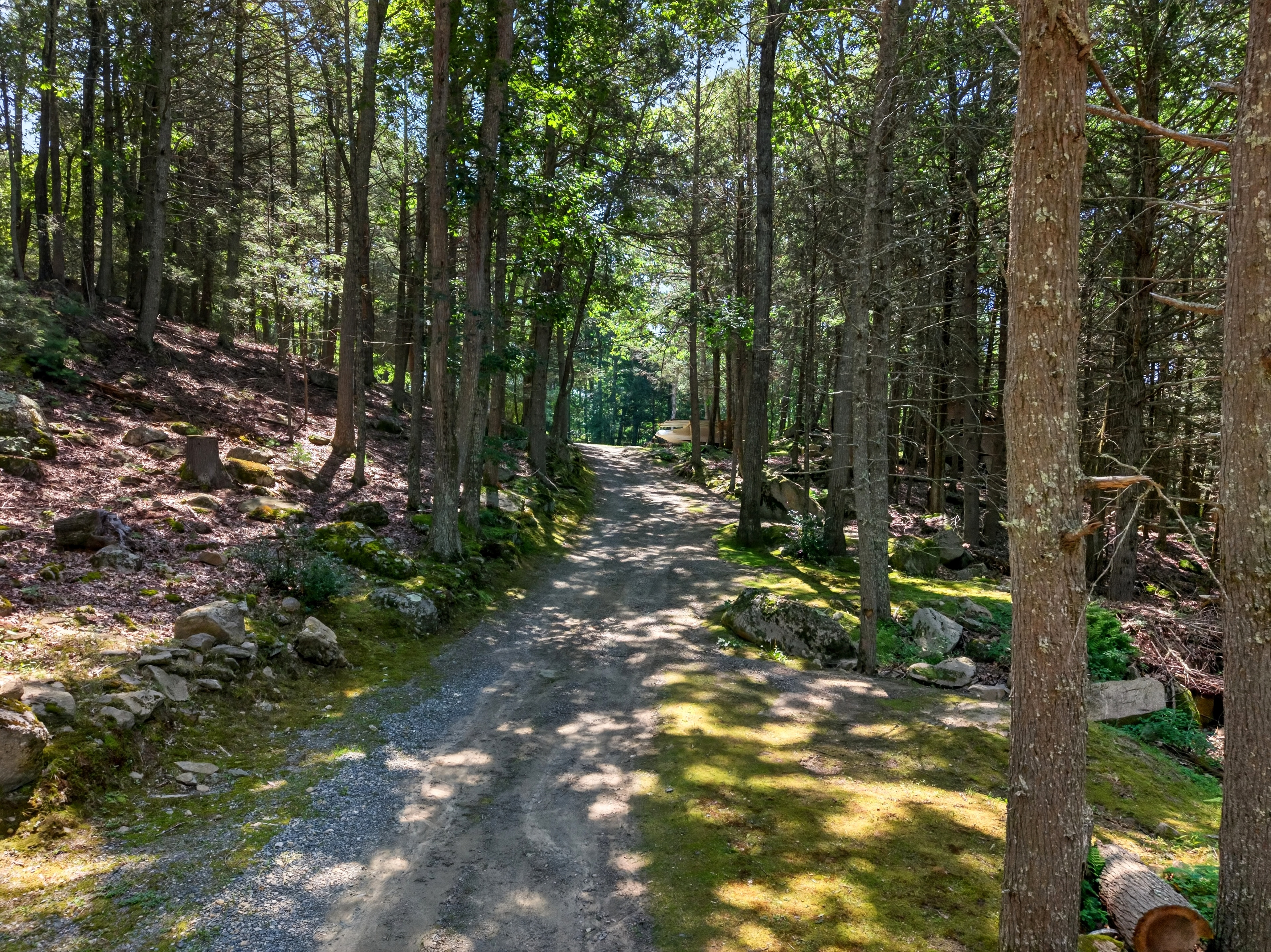  Tucked within four private, tranquil acres, this charming rustic log home offers - 物件實景