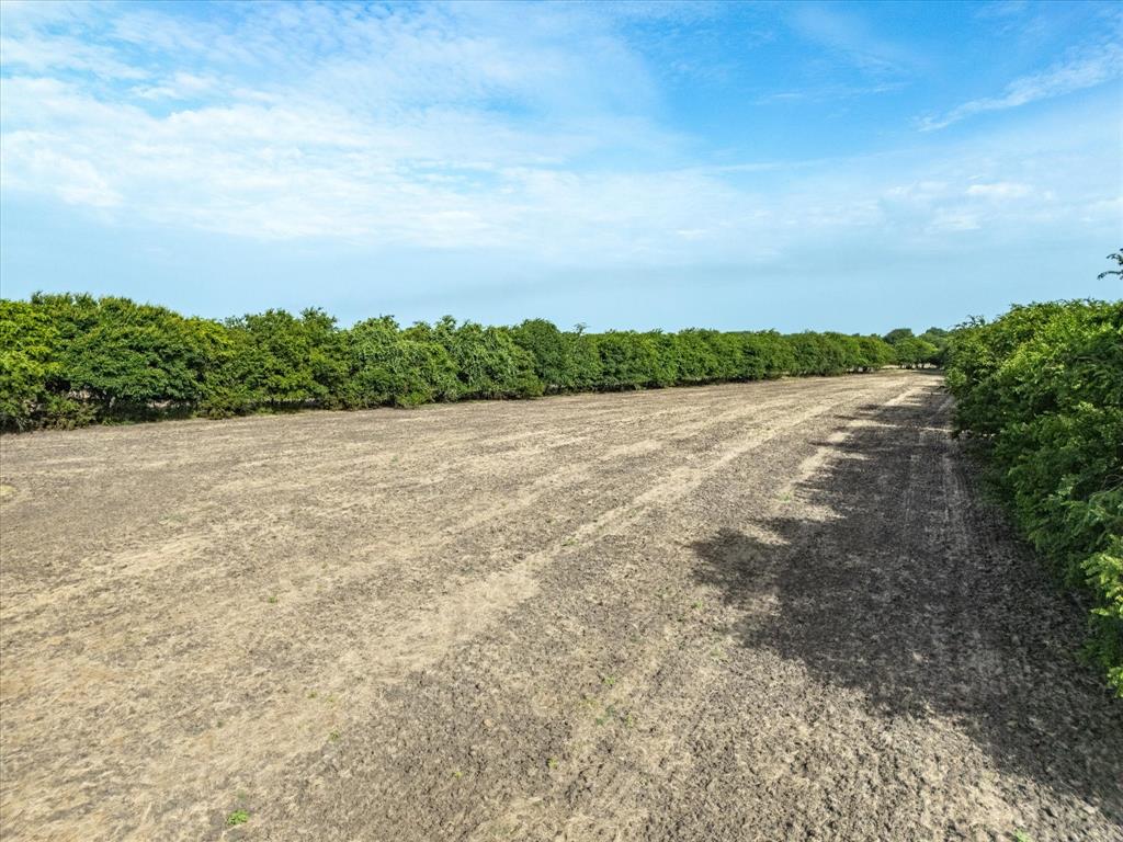 Rio Vista, Texas, 76093, United States, ,Land,For Sale,1976732