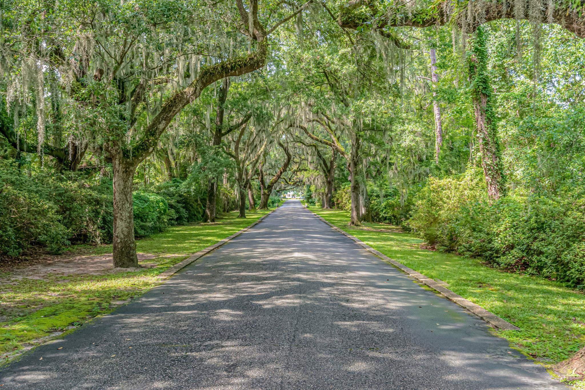 Pawleys Island, South Carolina, 29585, United States, ,Residential,For Sale,2020233