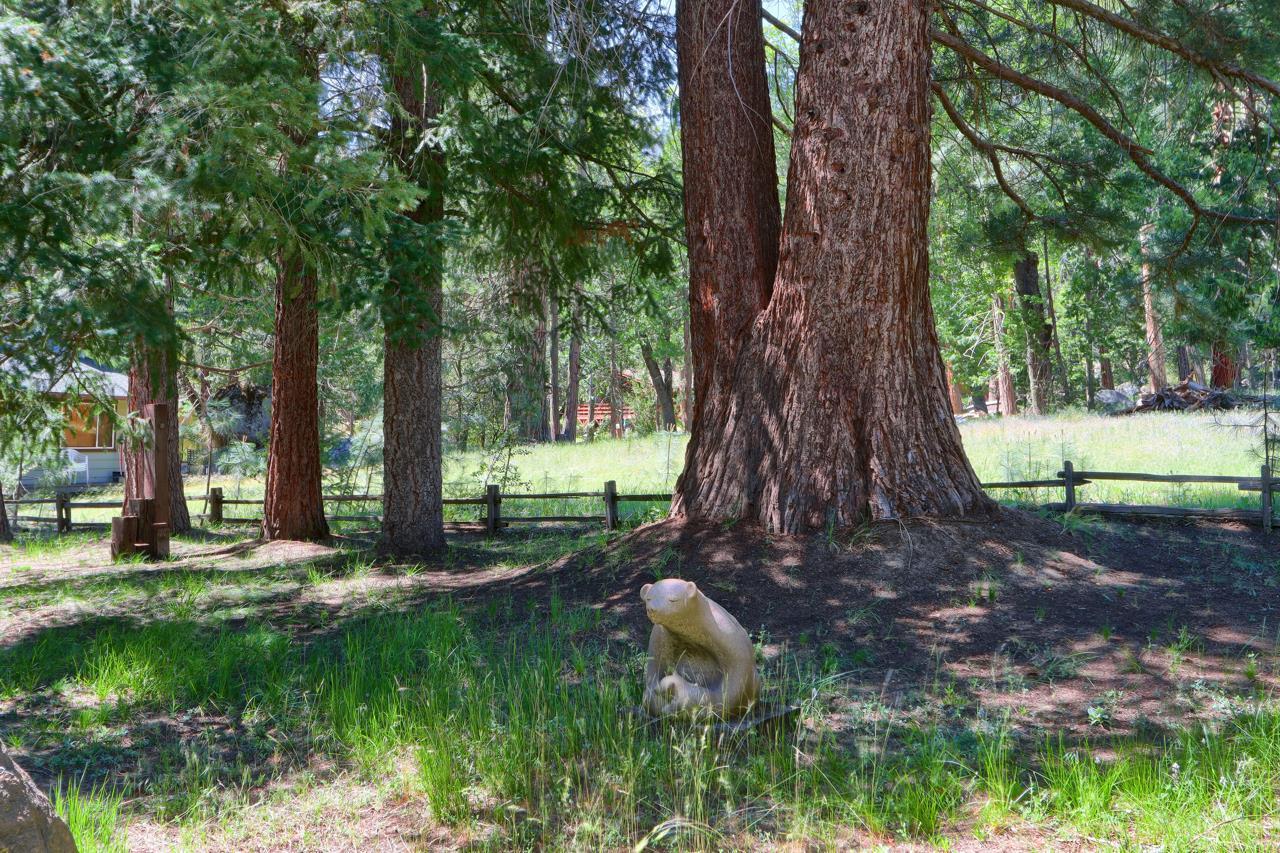 Wawona, California, 95389, United States, 3 Bedrooms Bedrooms, ,2 BathroomsBathrooms,Residential,For Sale,1835997