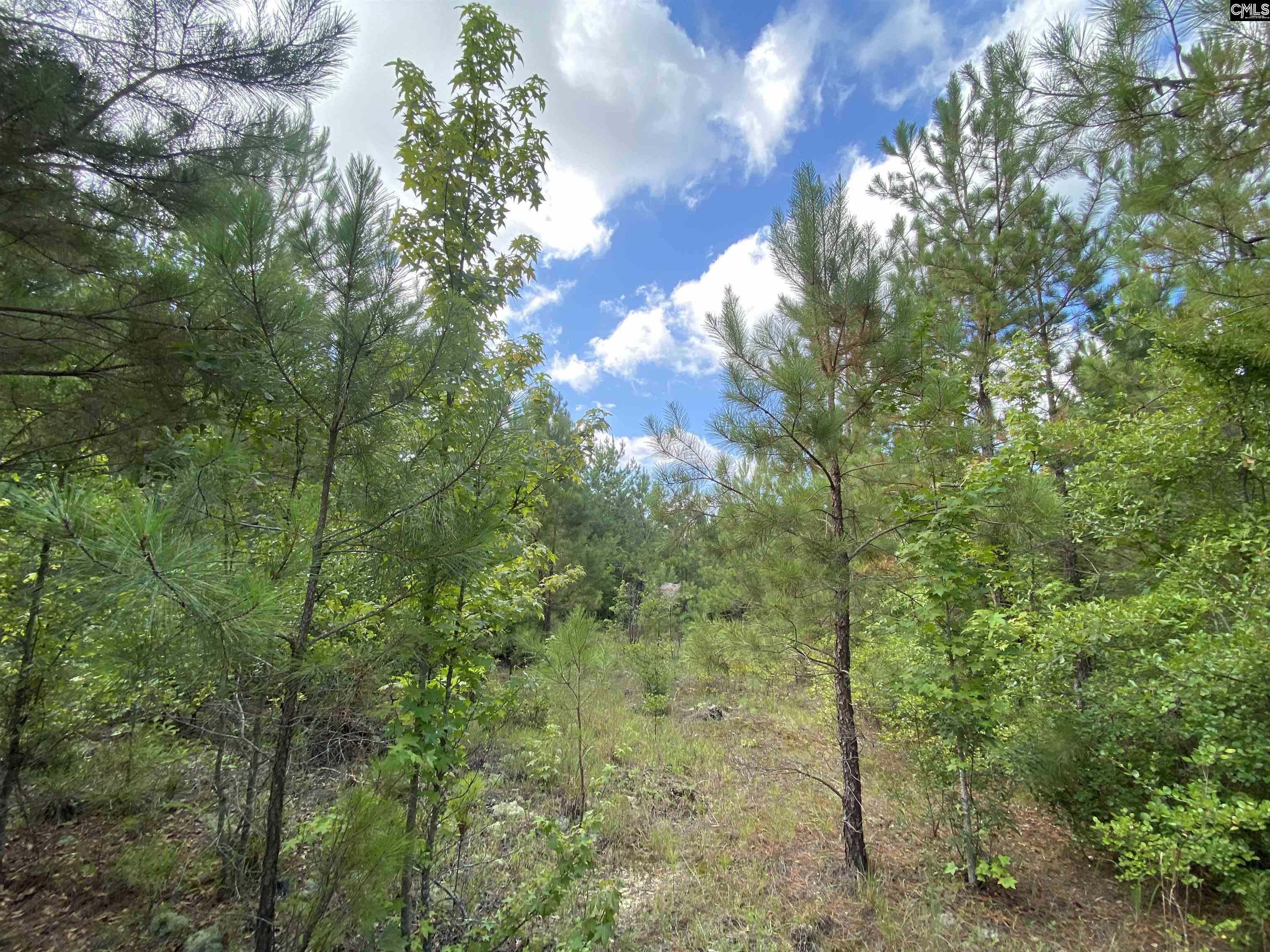 Lugoff, South Carolina, 29072, United States, 2 Bedrooms Bedrooms, ,1 BathroomBathrooms,Residential,For Sale,1897320