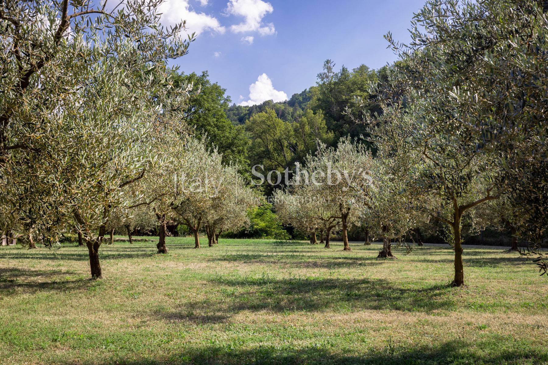  Villa with guest house and private park in the heart of Romagna - 物件實景