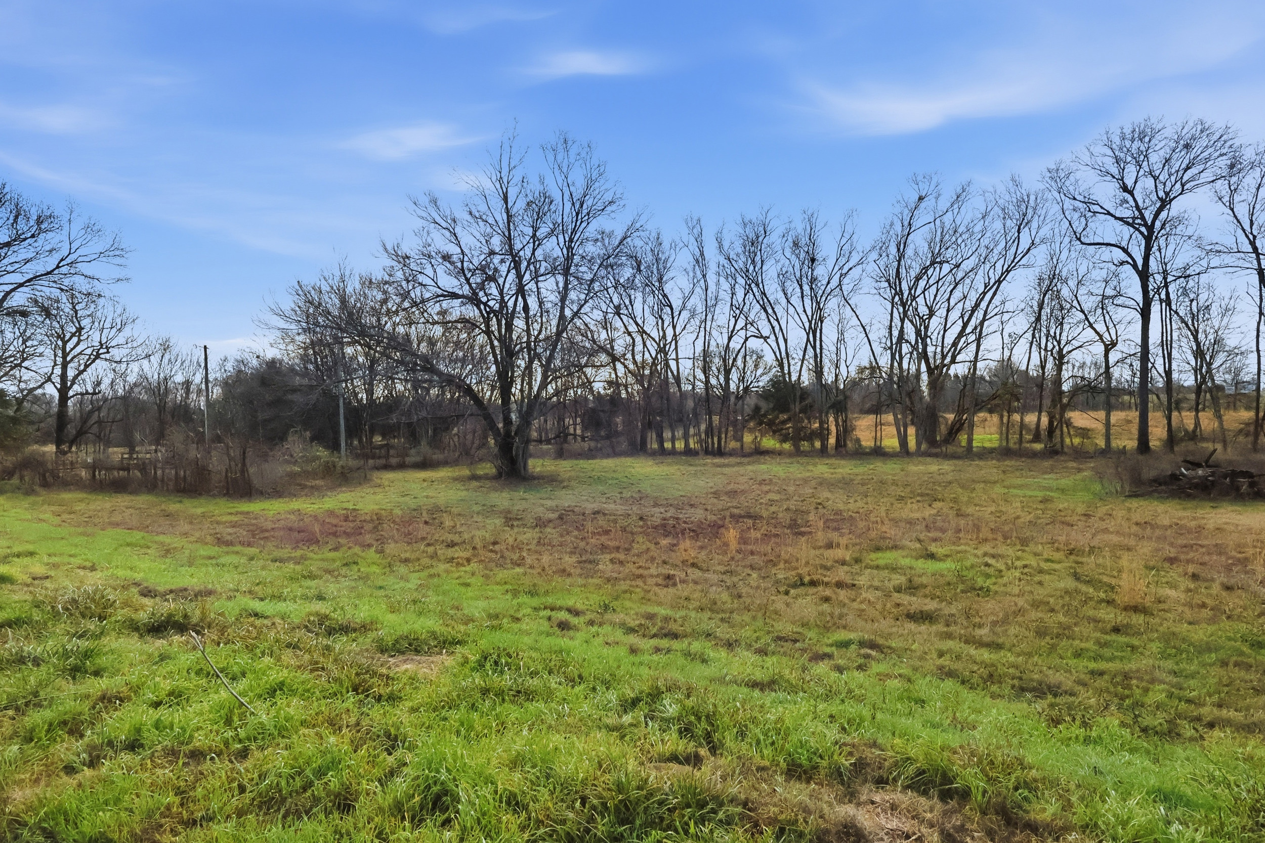 Quitman, Texas, 75783, United States, ,Land,For Sale,2013109