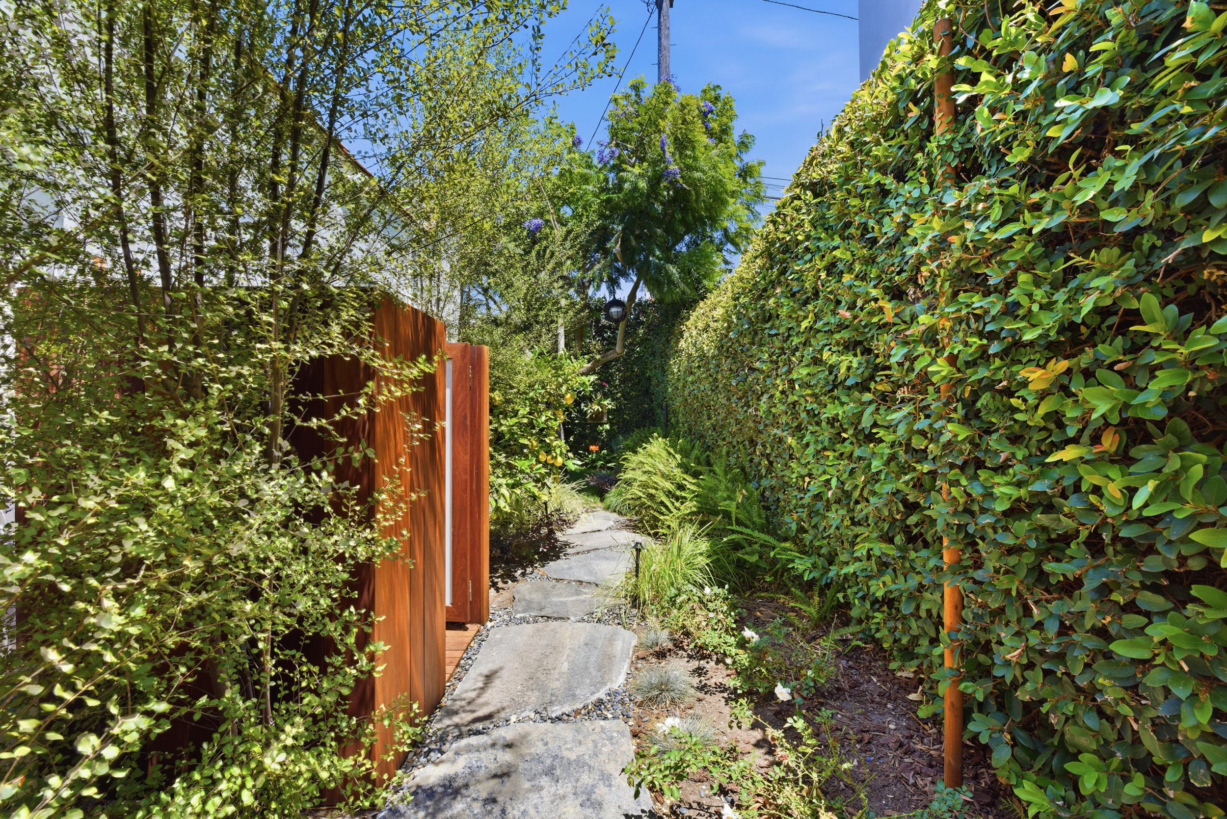  2900 Clune Ave - 物件實景