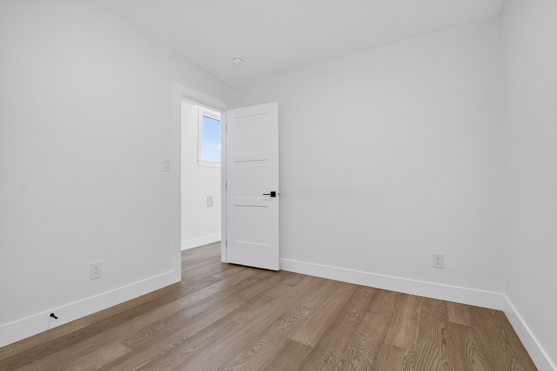  Spacious & Bright - 物件實景