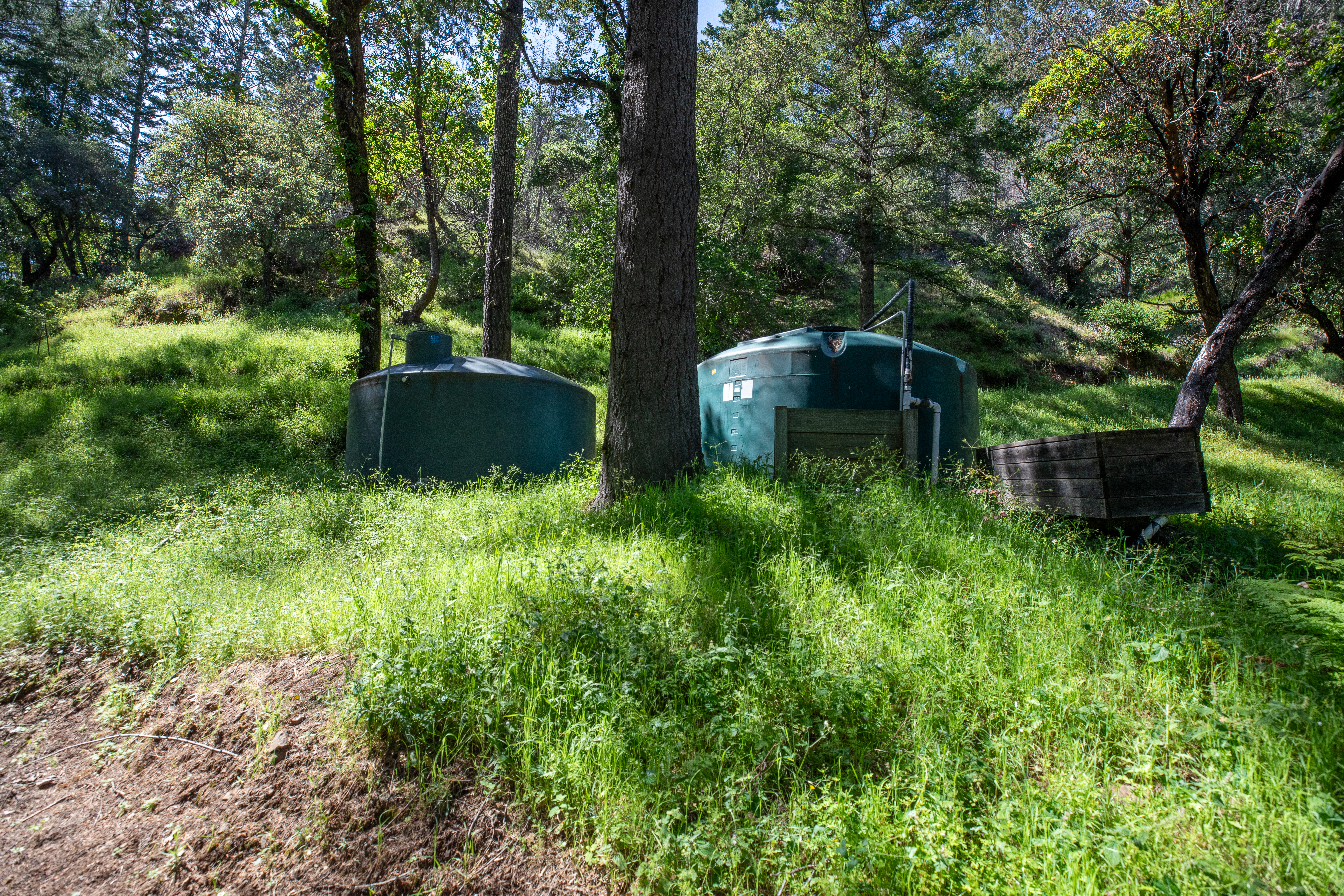  18900 Armstrong Woods Road, Guerneville, CA 95446 - 物件實景