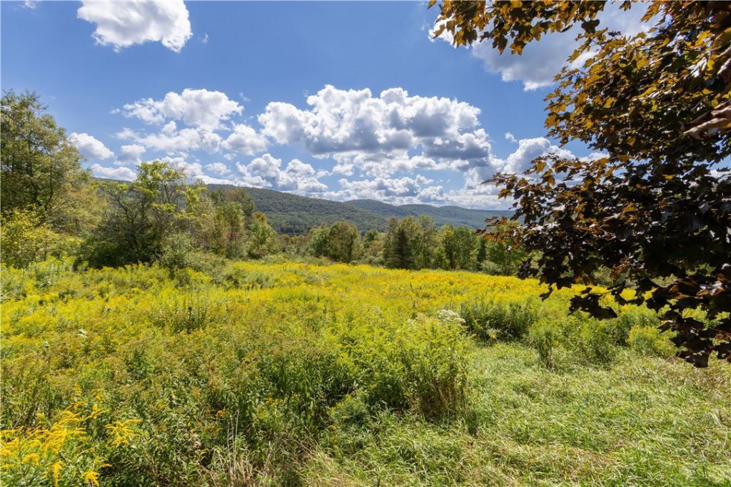 Walton, New York, 13856, United States, 4 Bedrooms Bedrooms, ,4 BathroomsBathrooms,Residential,For Sale,1947097
