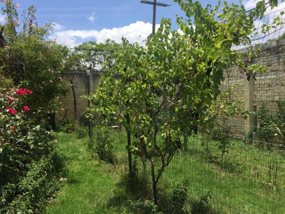 León, Guanajuato, 37683, Mexico, 1 Bedroom Bedrooms, ,Residential,For Sale,1917965
