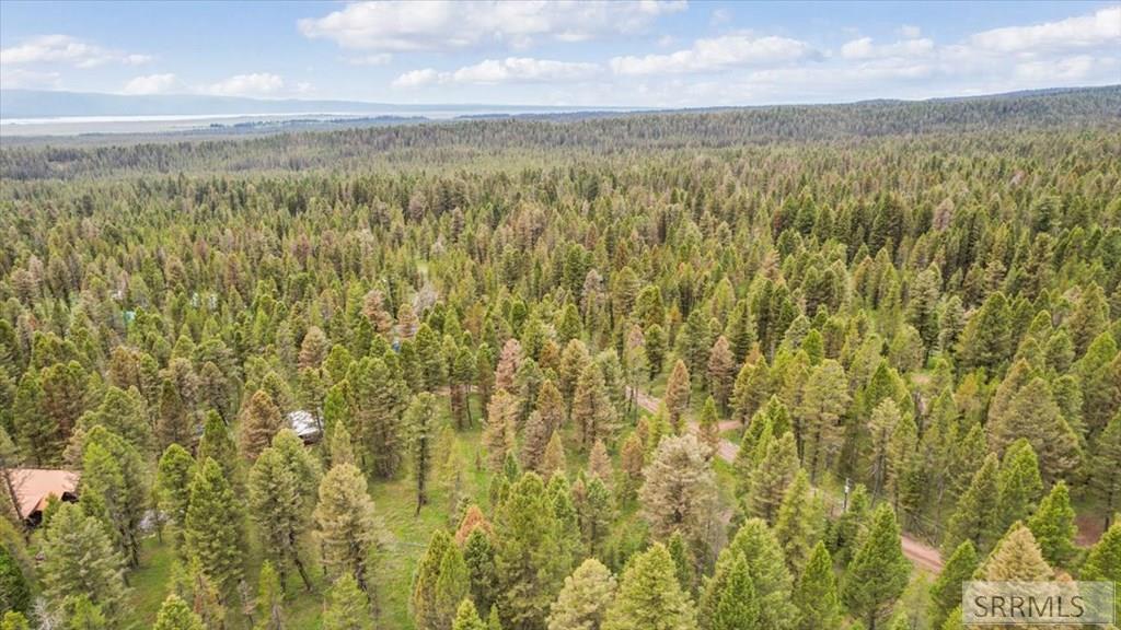 ISLAND PARK, Idaho, 83429, United States, 3 Bedrooms Bedrooms, ,2 BathroomsBathrooms,Residential,For Sale,2049198