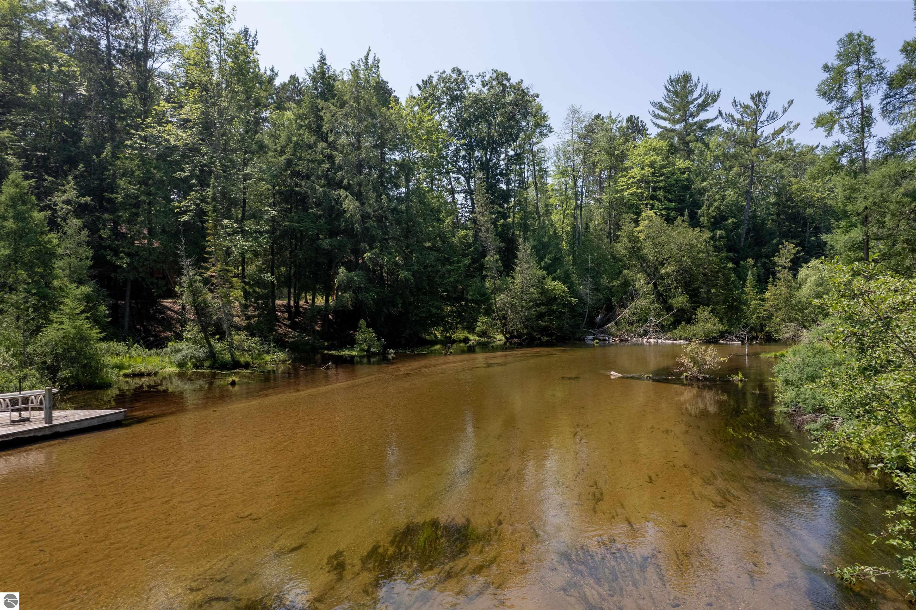 Rapid City, Michigan, 49676, United States, 1 Bedroom Bedrooms, ,Residential,For Sale,1960955