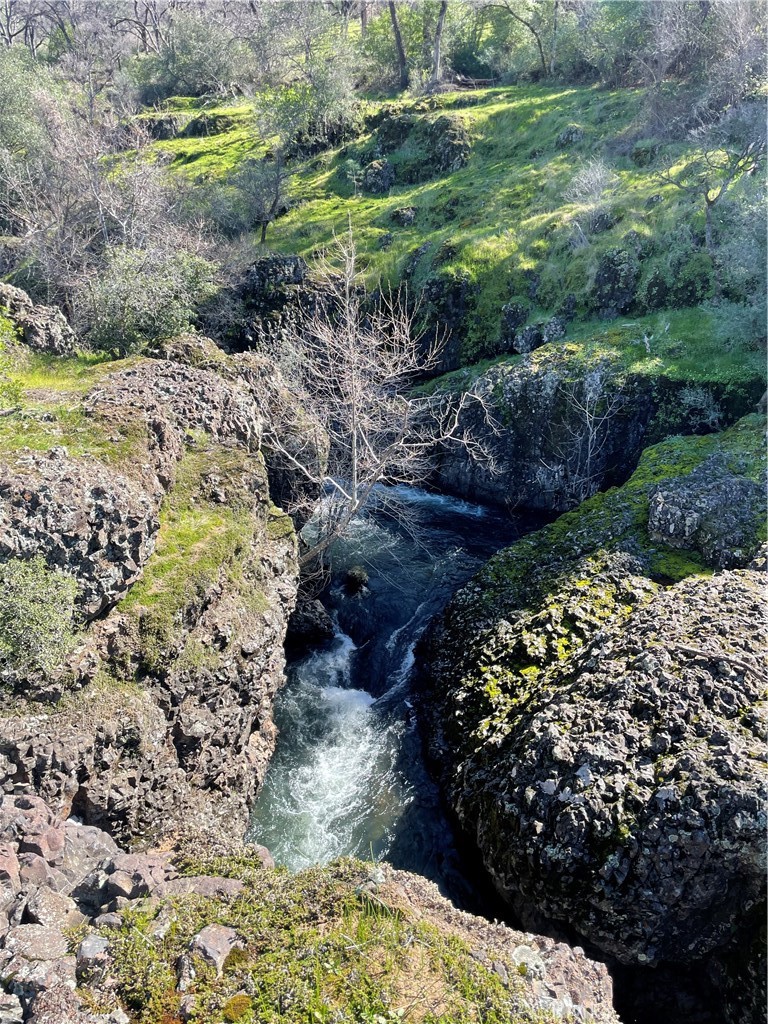 Chico, California, 95928, United States, ,Land,For Sale,1974273