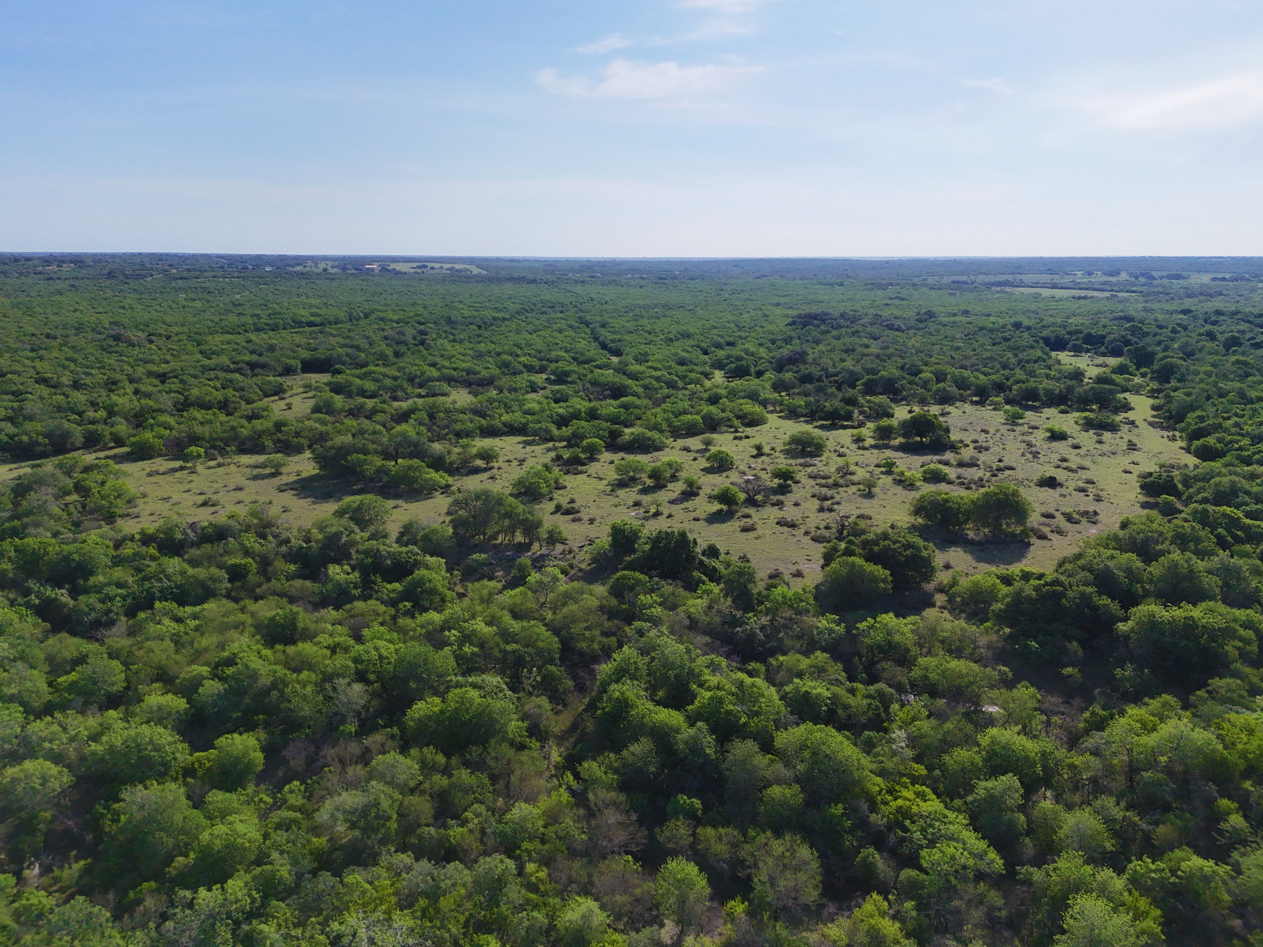  810+/- Acre Cabeza Creek Ranch - 物件實景