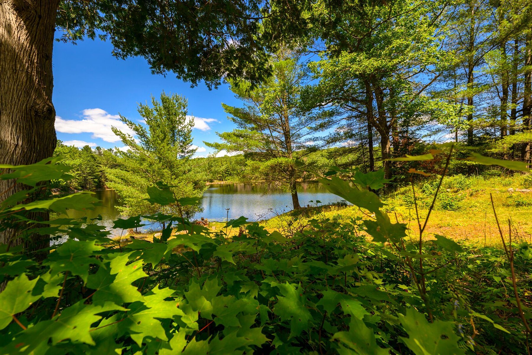  Cantley, Outaouais - 物件實景