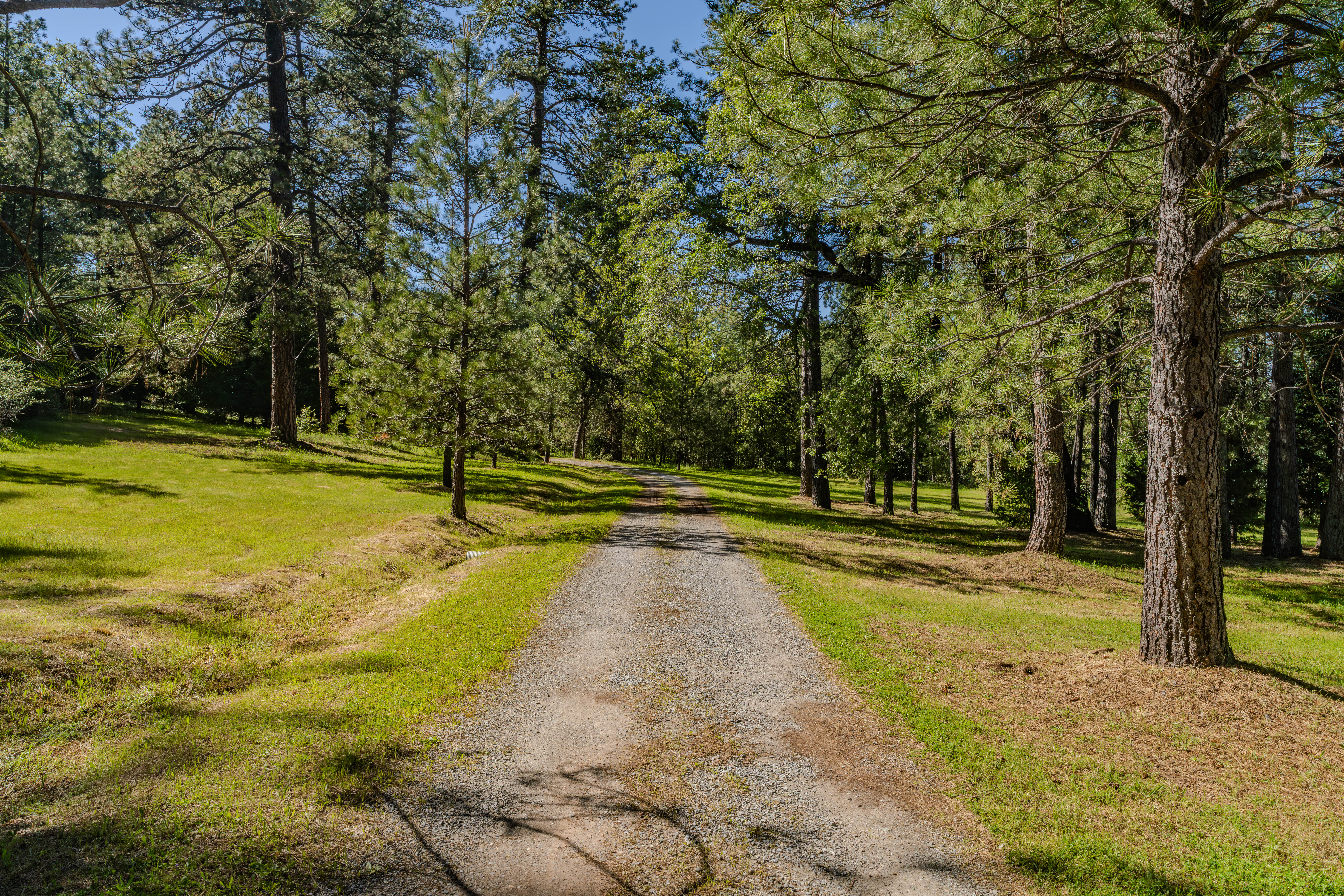  211 Fox Road, Glencoe, CA 95232 - 物件實景