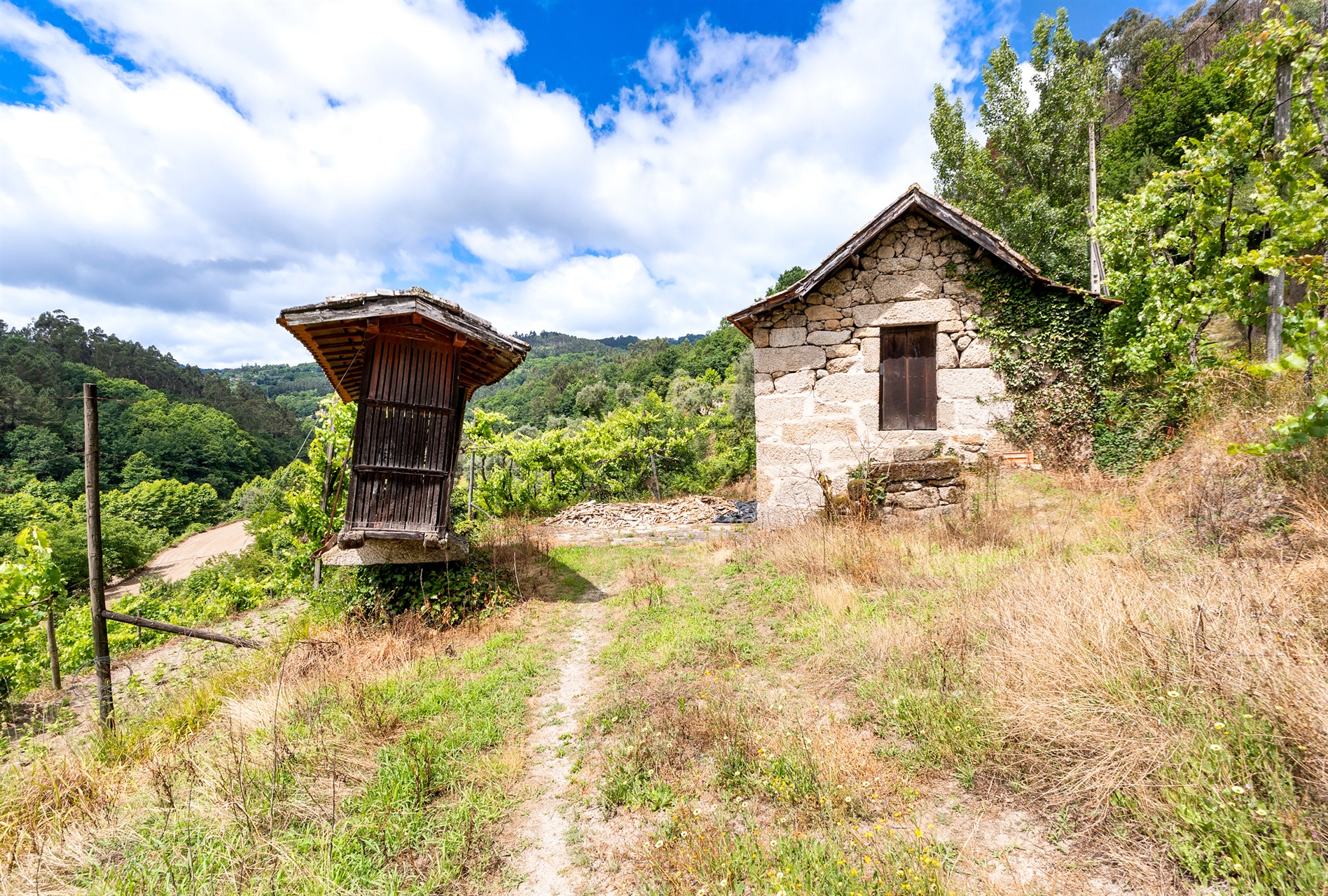  Farm, 3 bedrooms, for Sale - 物件實景